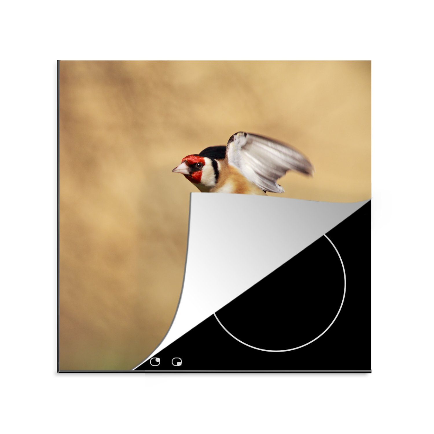tlg), Herdblende-/Abdeckplatte Vinyl, küche MuchoWow Flug Arbeitsplatte im für aus, (1 breitet cm, seine Flügel Ceranfeldabdeckung, 78x78 Stieglitz