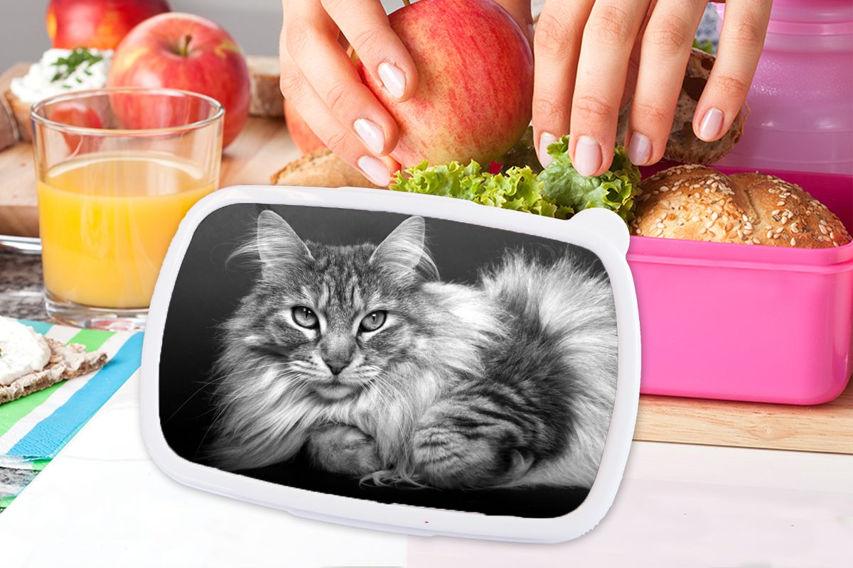 liegende MuchoWow und schwarz schöne Eine Katze Lunchbox Kinder, Mädchen, Coon Erwachsene, Maine Kunststoff Kunststoff, rosa weiß, - (2-tlg), für Brotbox Brotdose Snackbox,