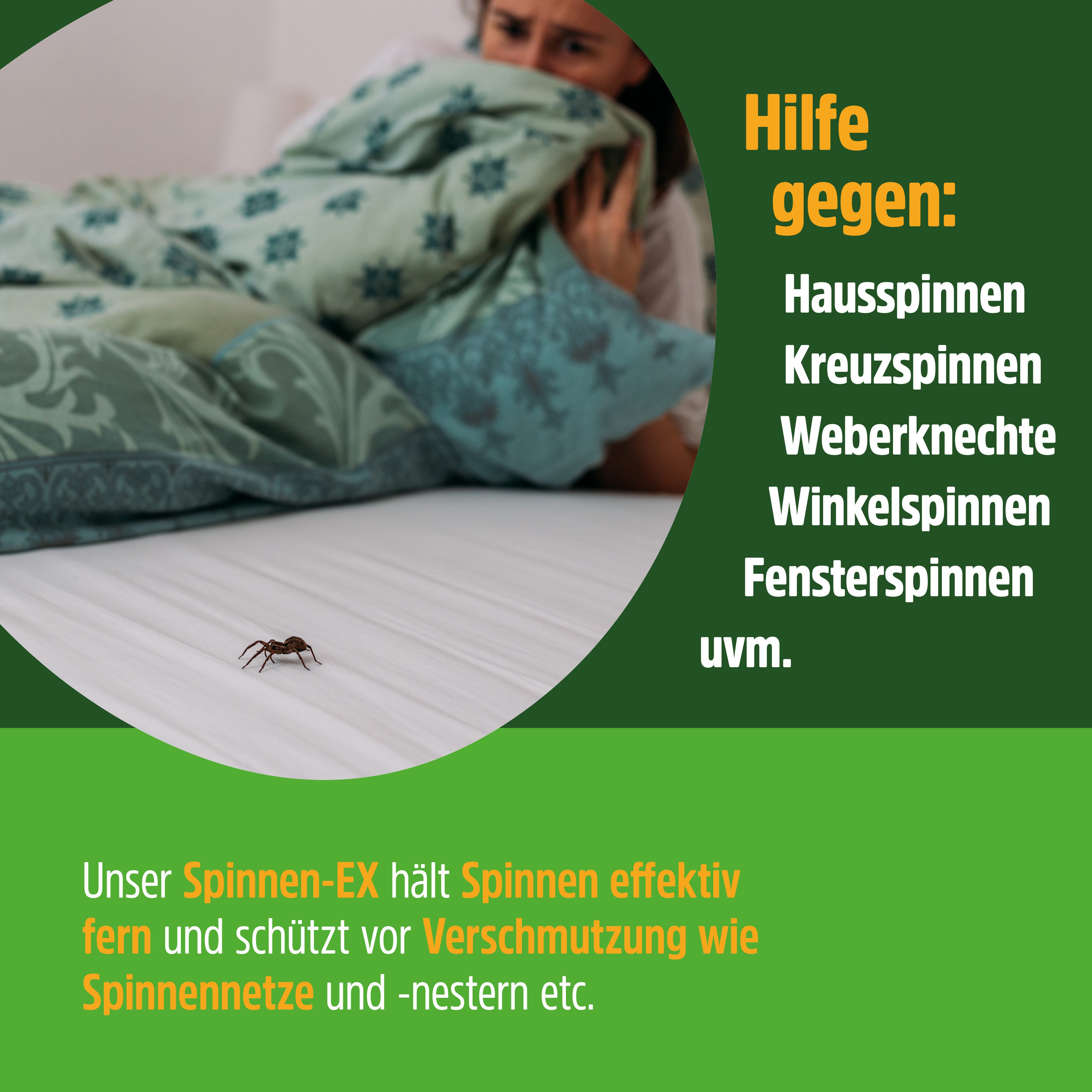 GreenHero Vergrämungsmittel Spinnen-Ex Spray zur Spinnenbekämpfung, 500 ml – Bild 4 von 5