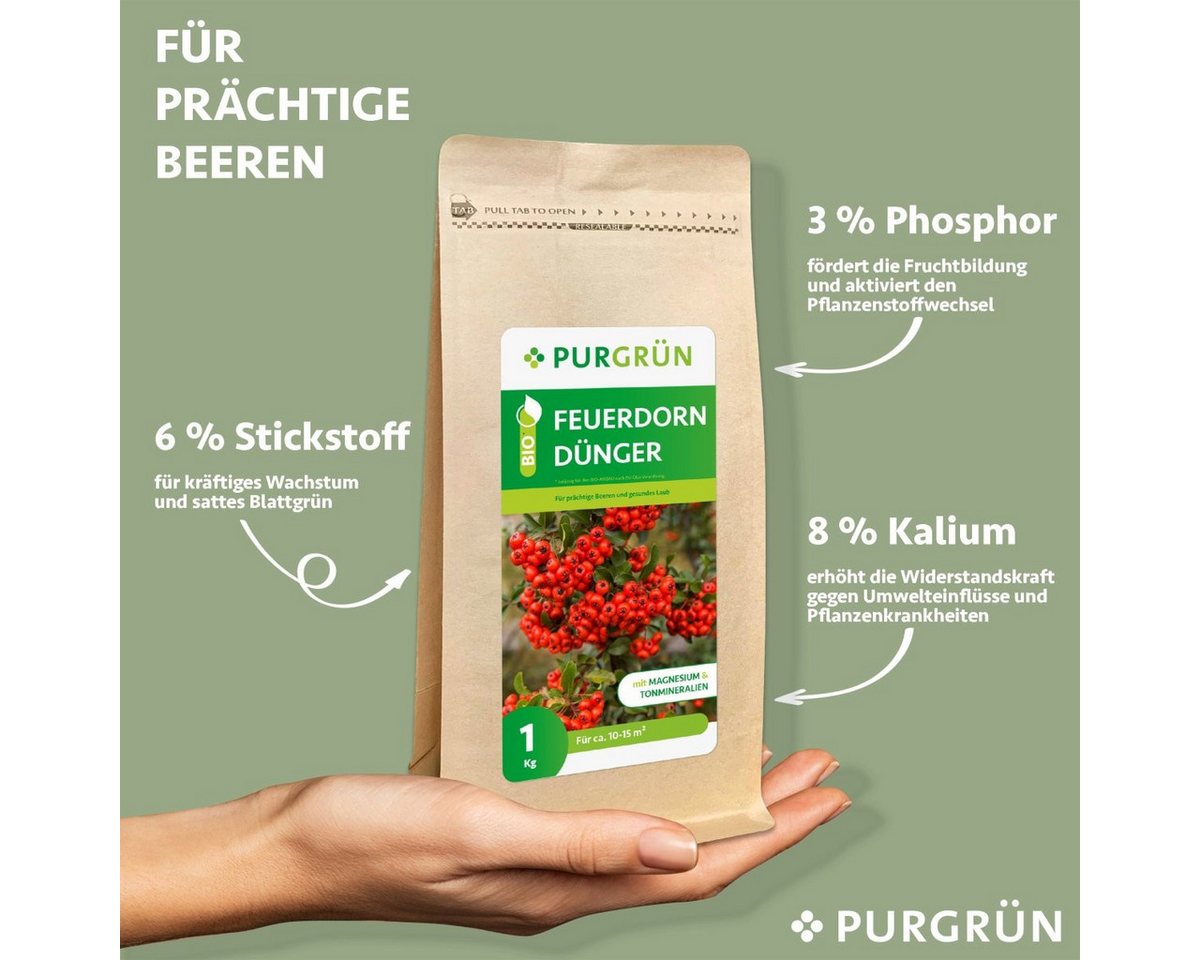 Thumbnail - Purgrün Gartendünger Purgrün Bio Feuerdorn Dünger, NPK 6+3+8, Magnesium, 1 kg, Bio-Krümelgranulat, Natürliche Sofort- un...