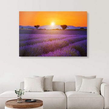 Posterlounge Acrylglasbild Editors Choice, Sonne über dem Lavendel, Mediterran Fotografie