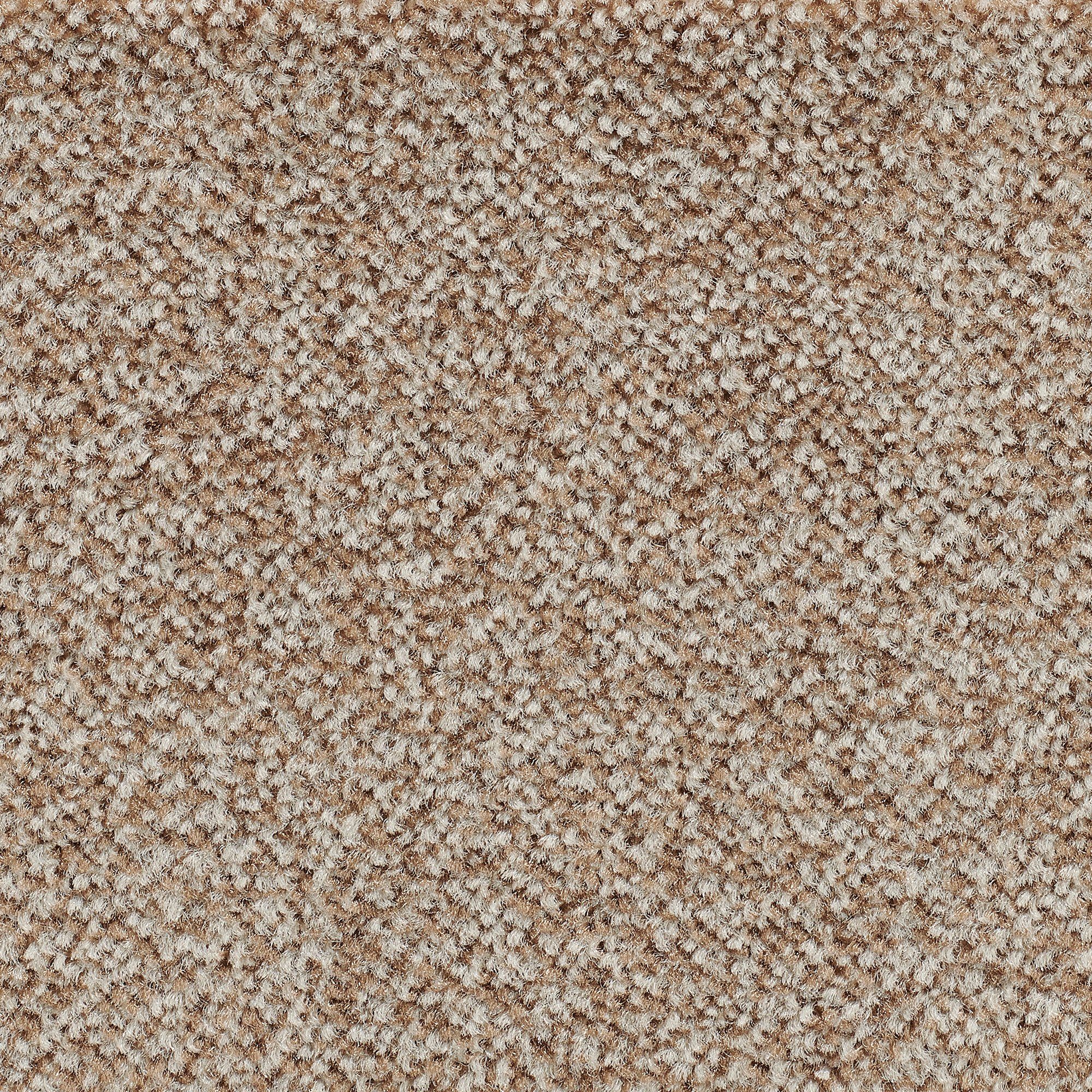 Teppichboden Veloursteppich Juno, Bodenmeister, rechteckig, Höhe: 8,5 mm, Wohnzimmer, Schlafzimmer, Kinderzimmer, Breite 400/500 cm hell-braun beige