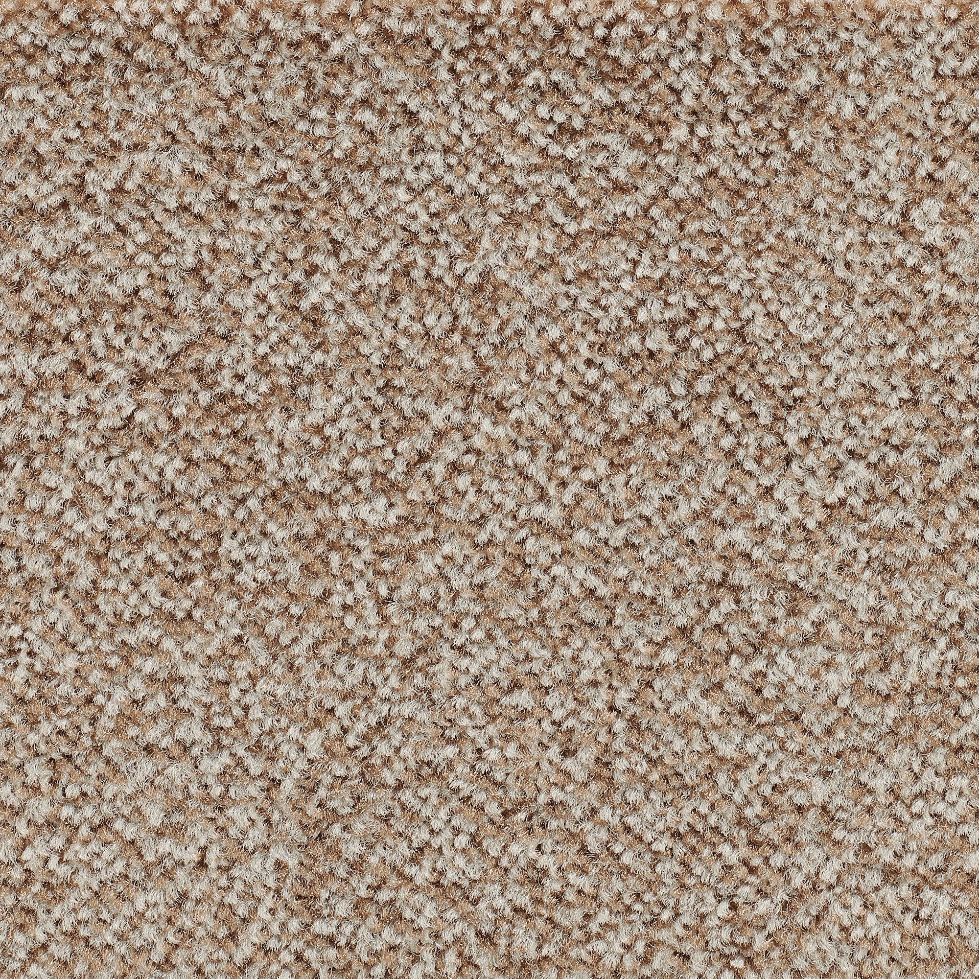 Teppichboden Veloursteppich Juno, Bodenmeister, rechteckig, 400/500 Schlafzimmer, Wohnzimmer, Höhe: Breite Kinderzimmer, mm, 8,5 cm