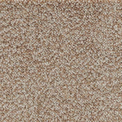 Braune helle Teppiche online kaufen | OTTO
