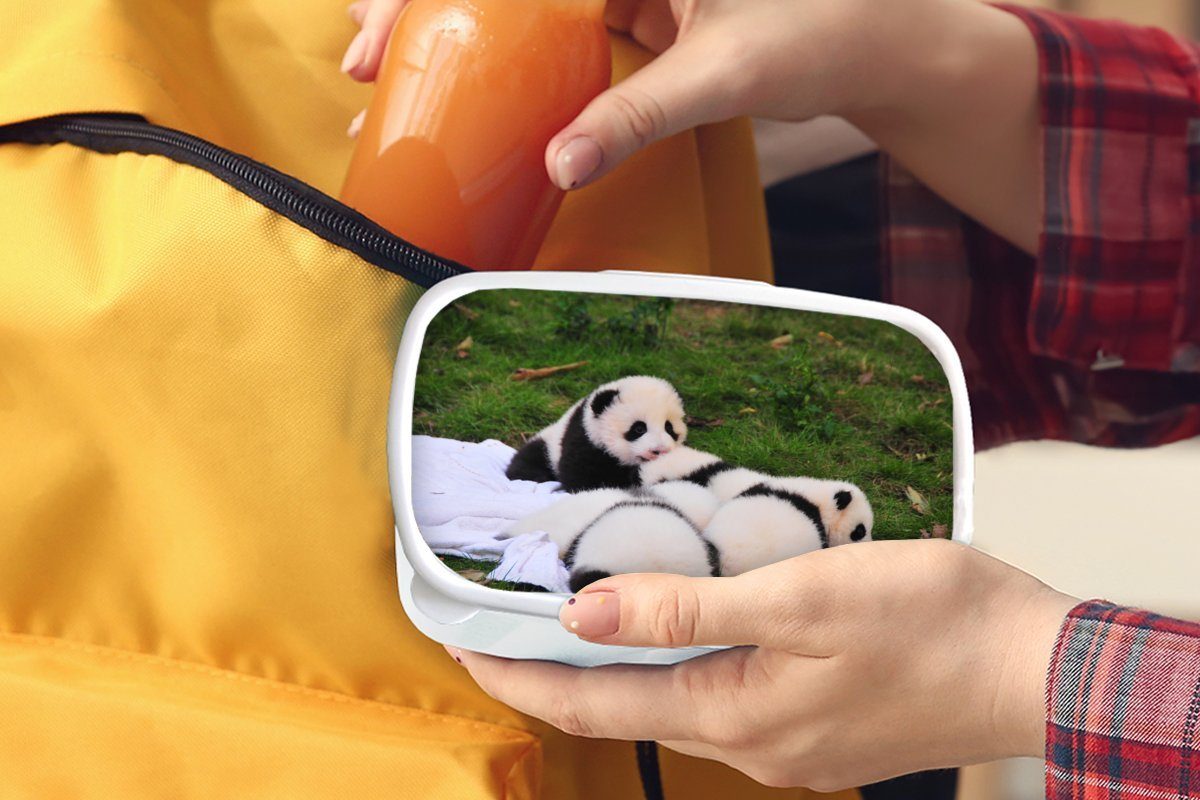 Decke, - MuchoWow - Mädchen und Pandas weiß Jungs Lunchbox Kunststoff, und für Kinder Brotbox Brotdose, für Erwachsene, Gras (2-tlg),