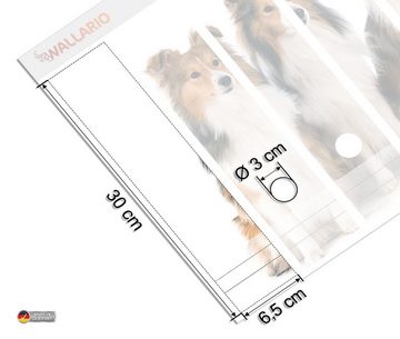 Wallario Etiketten Süße Shetland Hunde vor weißem Hintergrund, Ordnerrücken-Sticker in verschiedenen Ausführungen