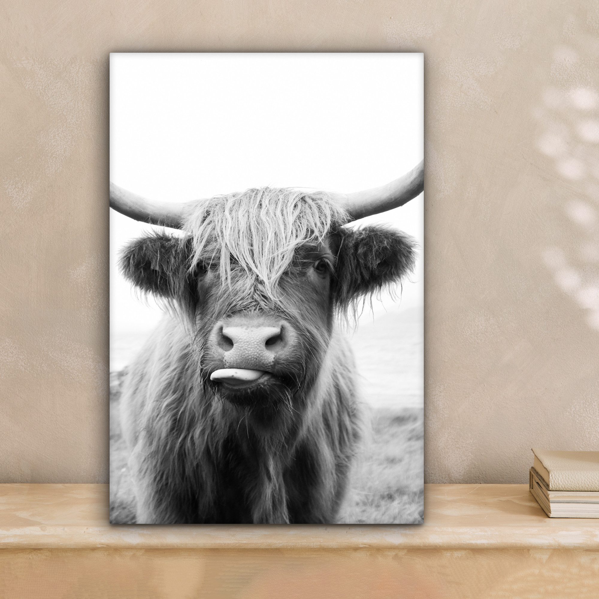 OneMillionCanvasses® Leinwandbild Tiere - Schottischer Highlander günstig online kaufen