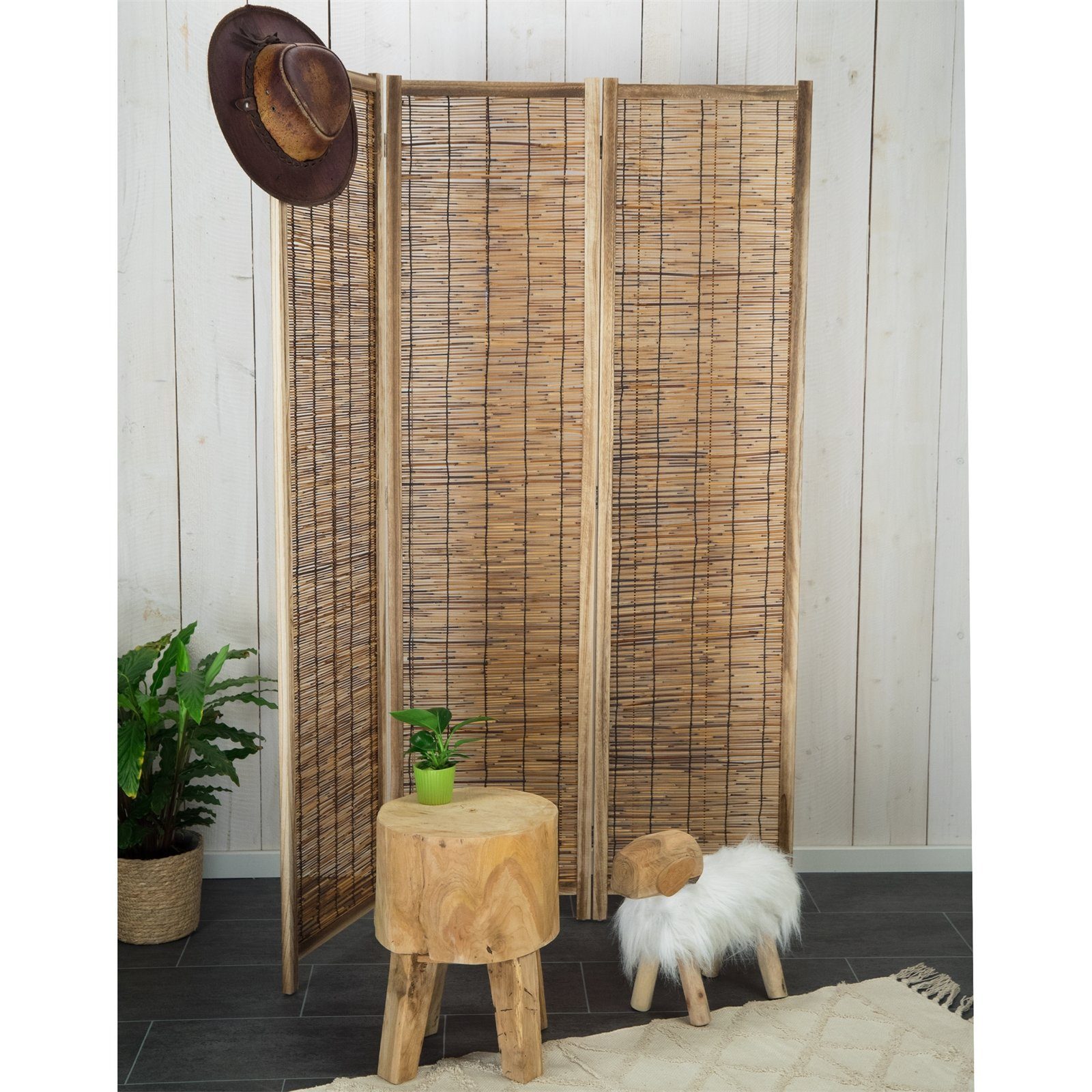CREEDWOOD Paravent RAUMTEILER "VIVA", Schilfrohr, 170x120 cm, Natur Paravent