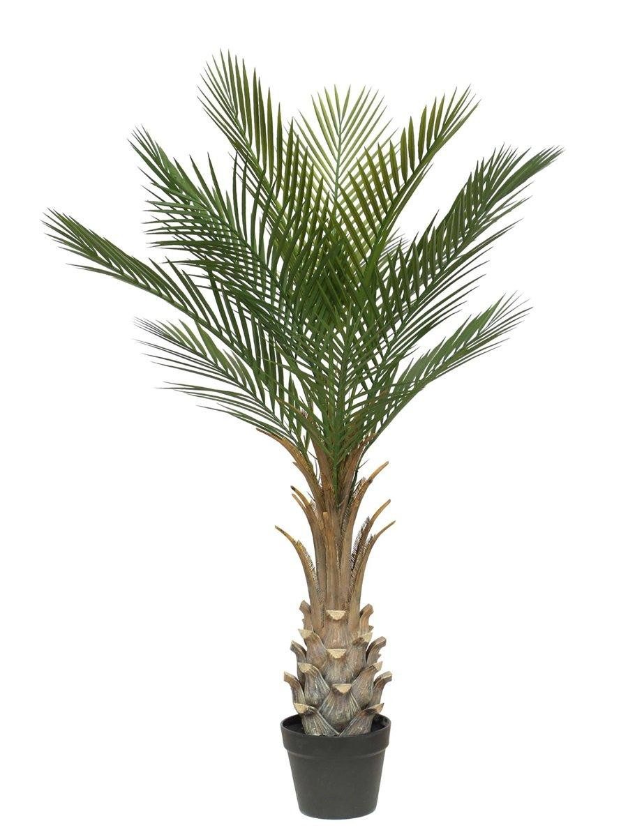 Kunstpalme Deko Phönixpalme ZOLTER, crossdoor, 150cm Dattelpalme, artplants, Höhe 150.0 cm