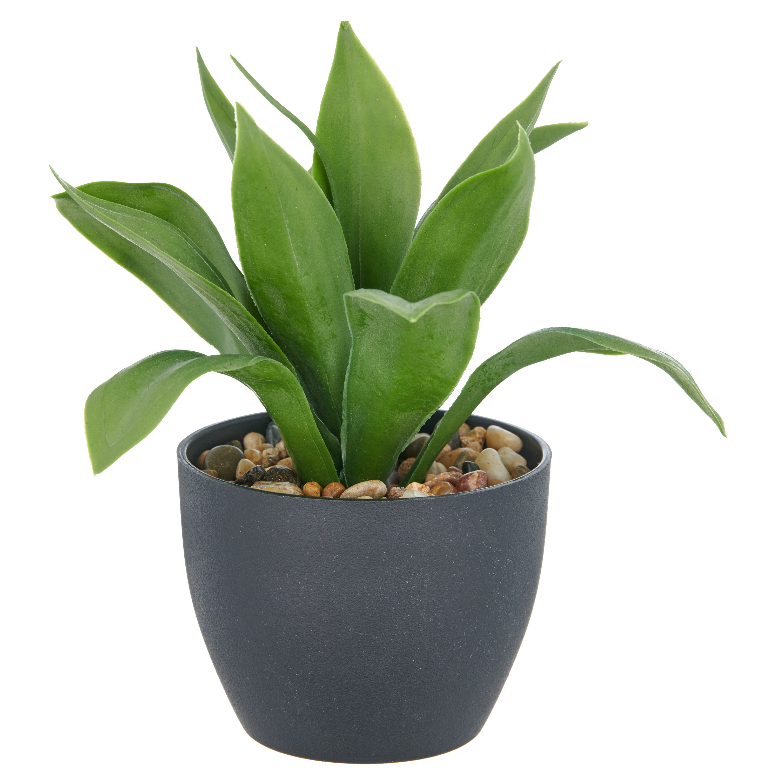 Kunstpflanze Sukkulenten, Creativ green, Höhe 20 cm, mit dekorativem Kies günstig online kaufen