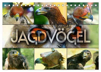 CALVENDO Wandkalender Jagdvögel (Tischkalender 2025 DIN A5 quer), CALVENDO Monatskalender