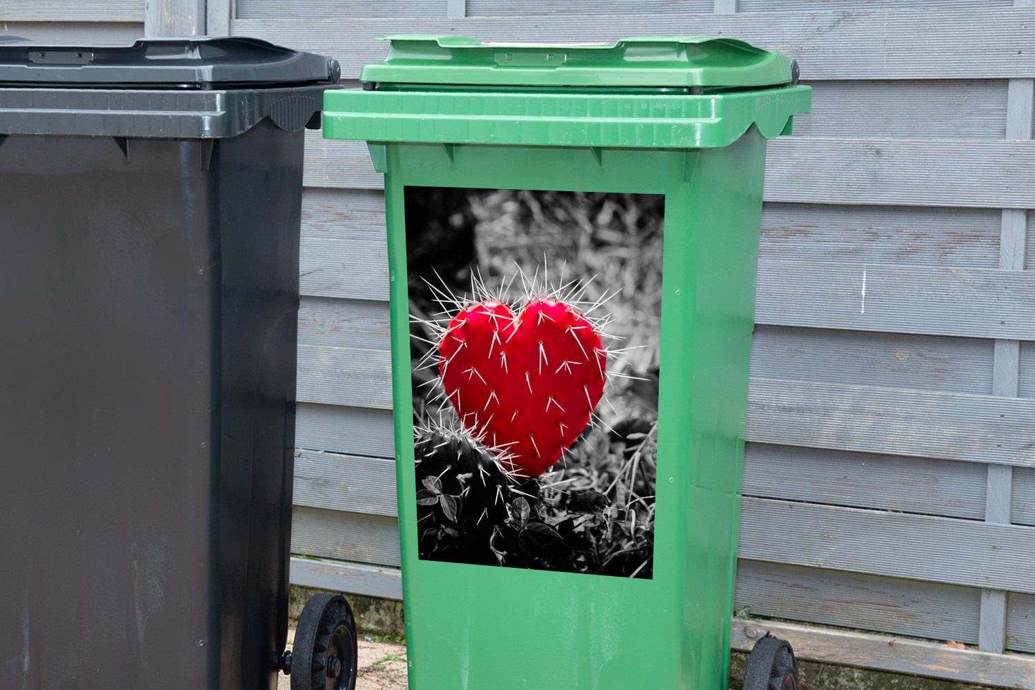 (1 mit Wandsticker Schwarz-Weiß-Foto St), Abfalbehälter Mülltonne, Sticker, Mülleimer-aufkleber, MuchoWow roten Container, herzförmigen Kaktus einem