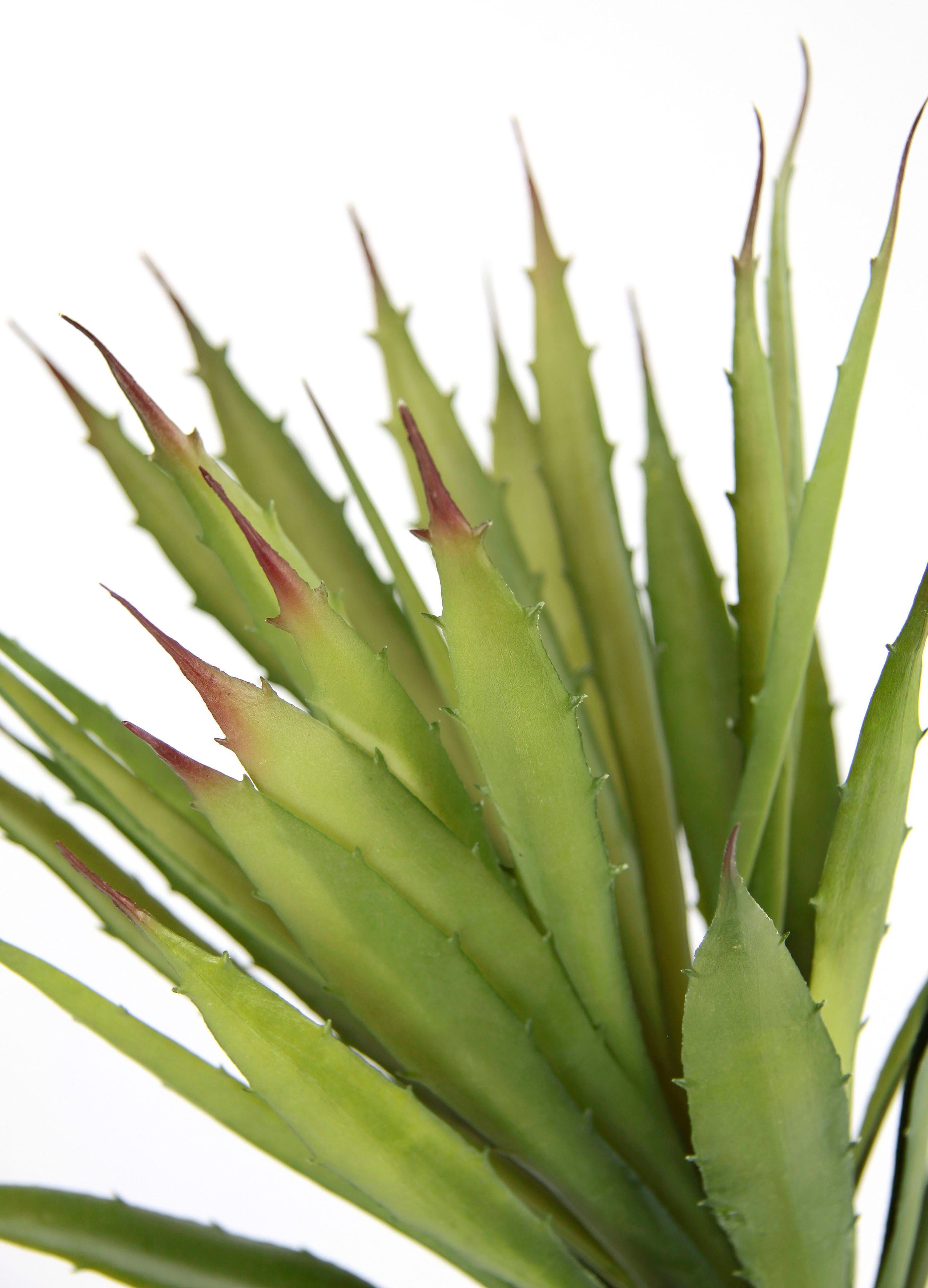 Kunstpflanze Künstliche Agave Aloe Vera im Topf Kunstpflanze, I.GE.A., Höhe günstig online kaufen