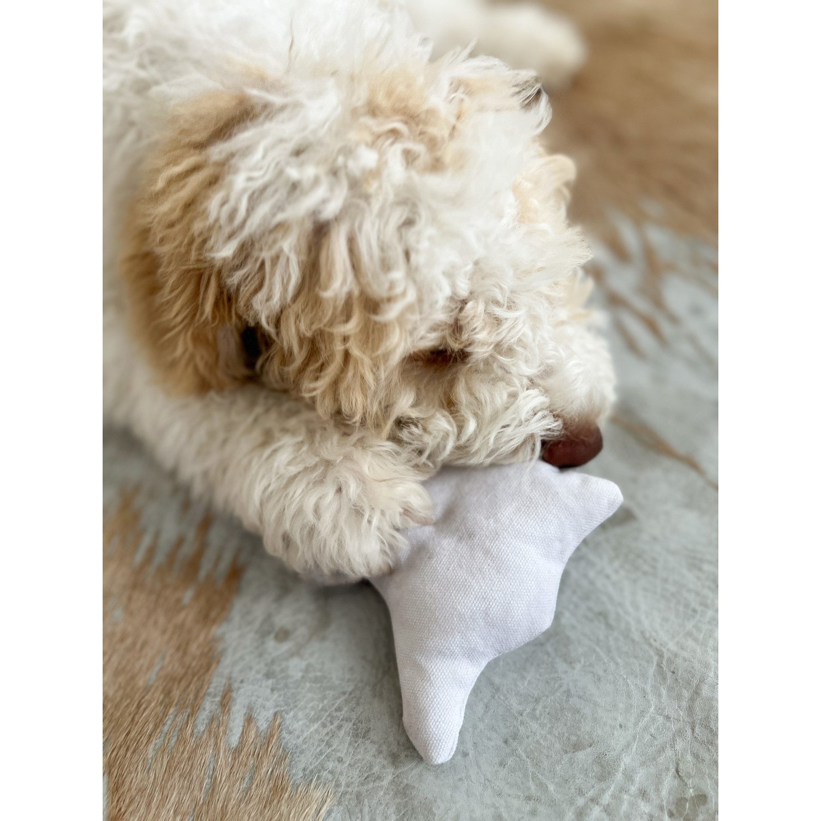 Aumüller Tierquietschie Hundespielzeug Geist, weiß, mit dezentem Quietscher