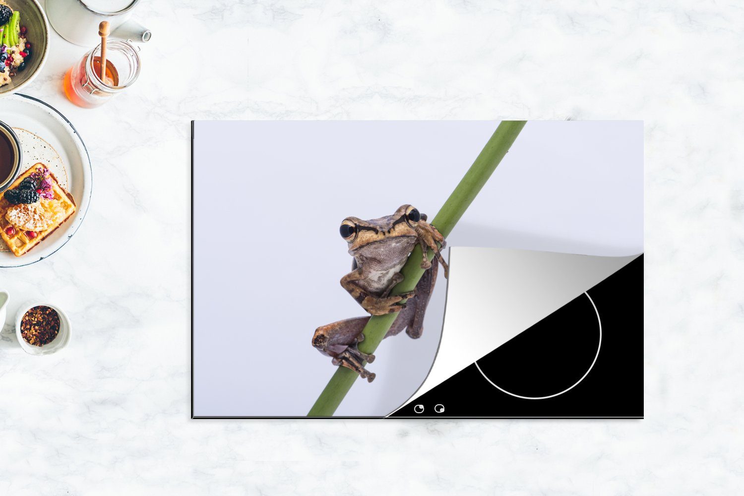 MuchoWow Herdblende-/Abdeckplatte Frosch - - 81x52 cm, küche, Vinyl, für tlg), die Zweig (1 Ceranfeldabdeckung Induktionskochfeld Schutz Grau