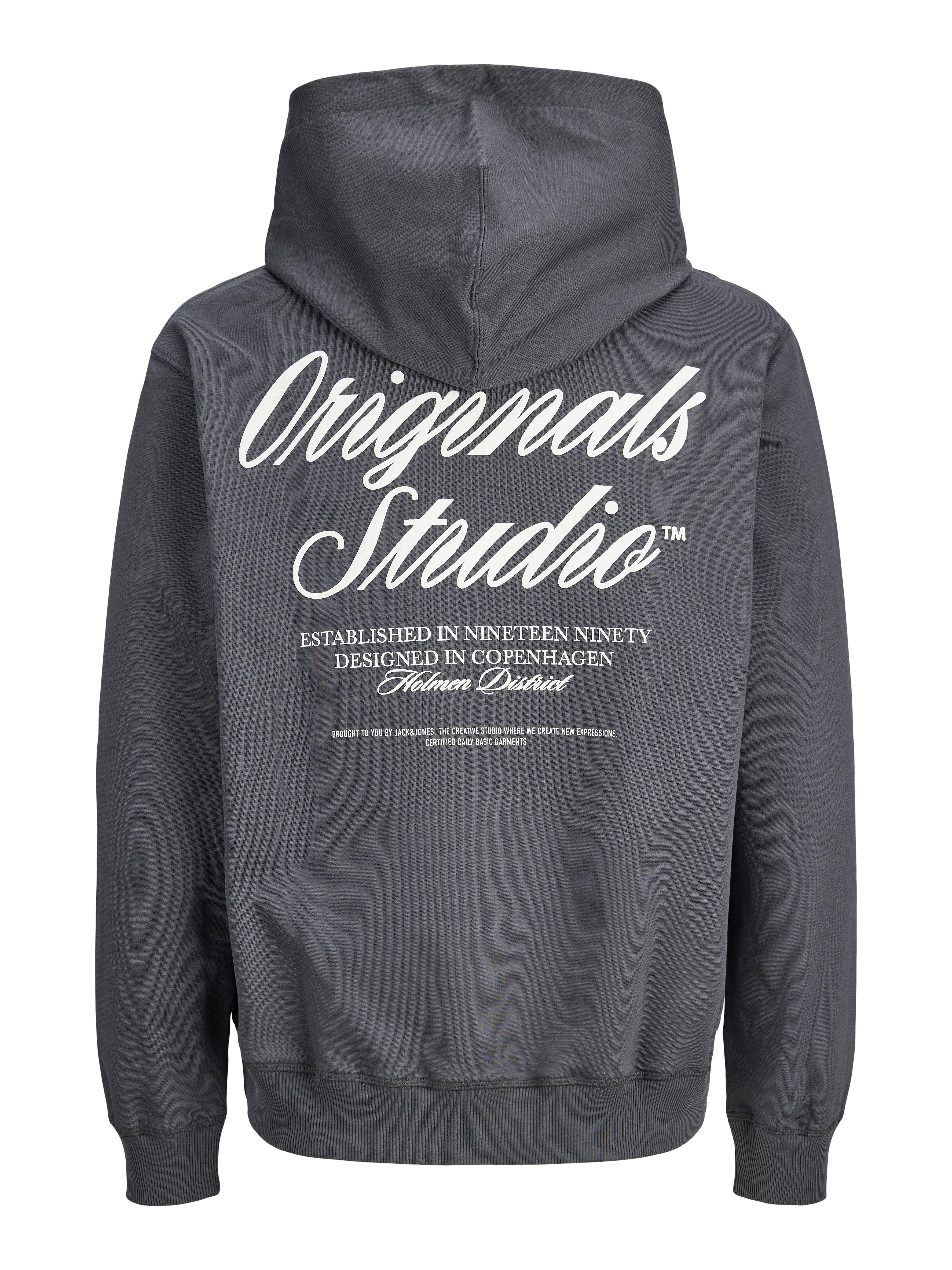 Jack & Jones PlusSize Kapuzensweatshirt JORNORREBRO TYPO BACK SWEAT HOOD PL günstig online kaufen