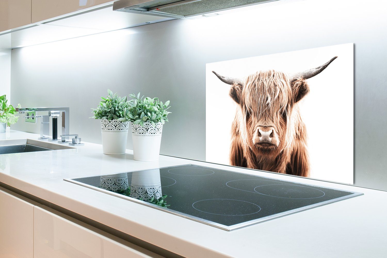 MuchoWow - (1-tlg), aus cm, Highlander Schottischer 60x40 Temperaturbeständig küchen Tiere Herdblende Kuh, Küchenrückwand - Wandschutz,