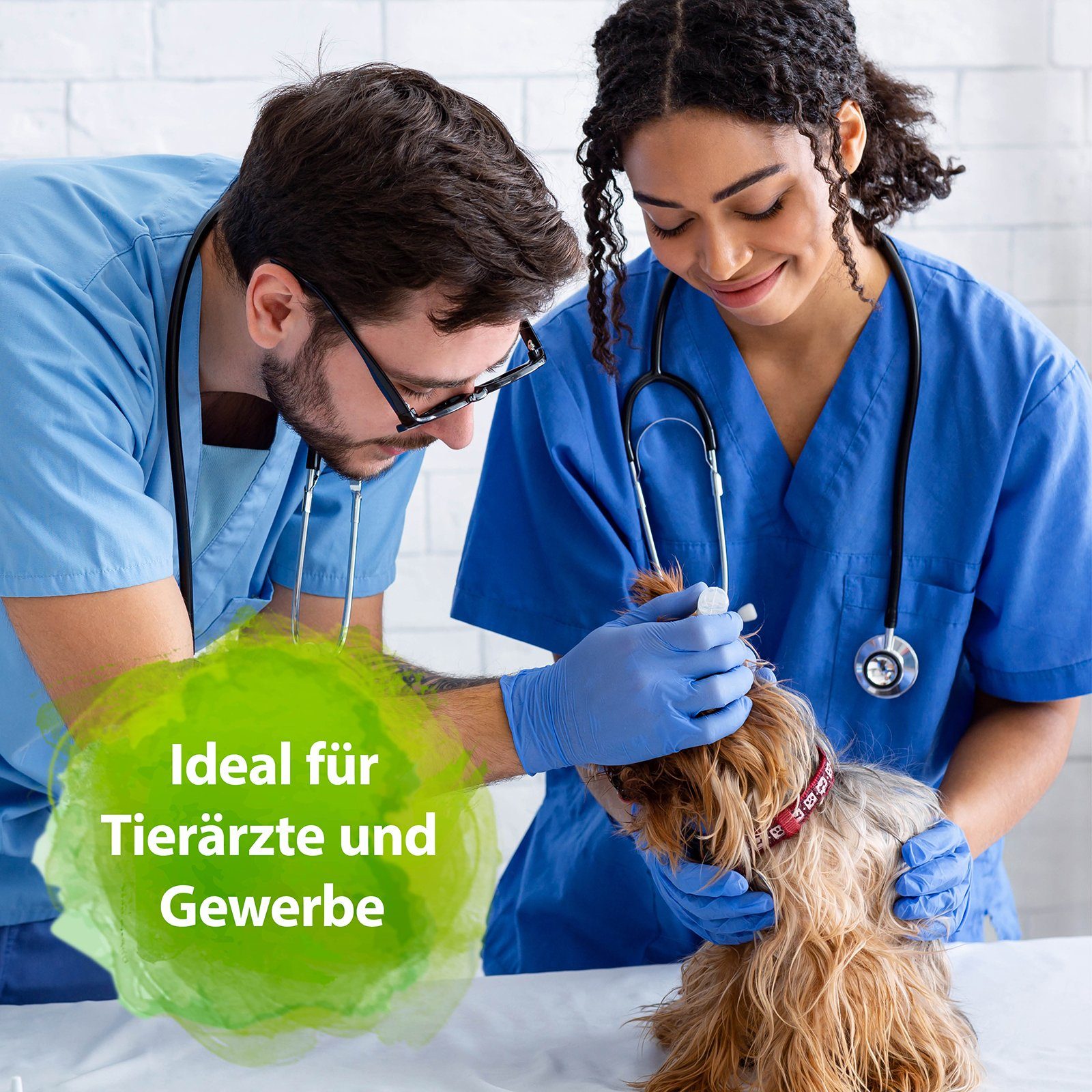 Bactador Bactador Geruchs- und Fleckenentferner Konzentrat 5 l Flüssigreiniger
