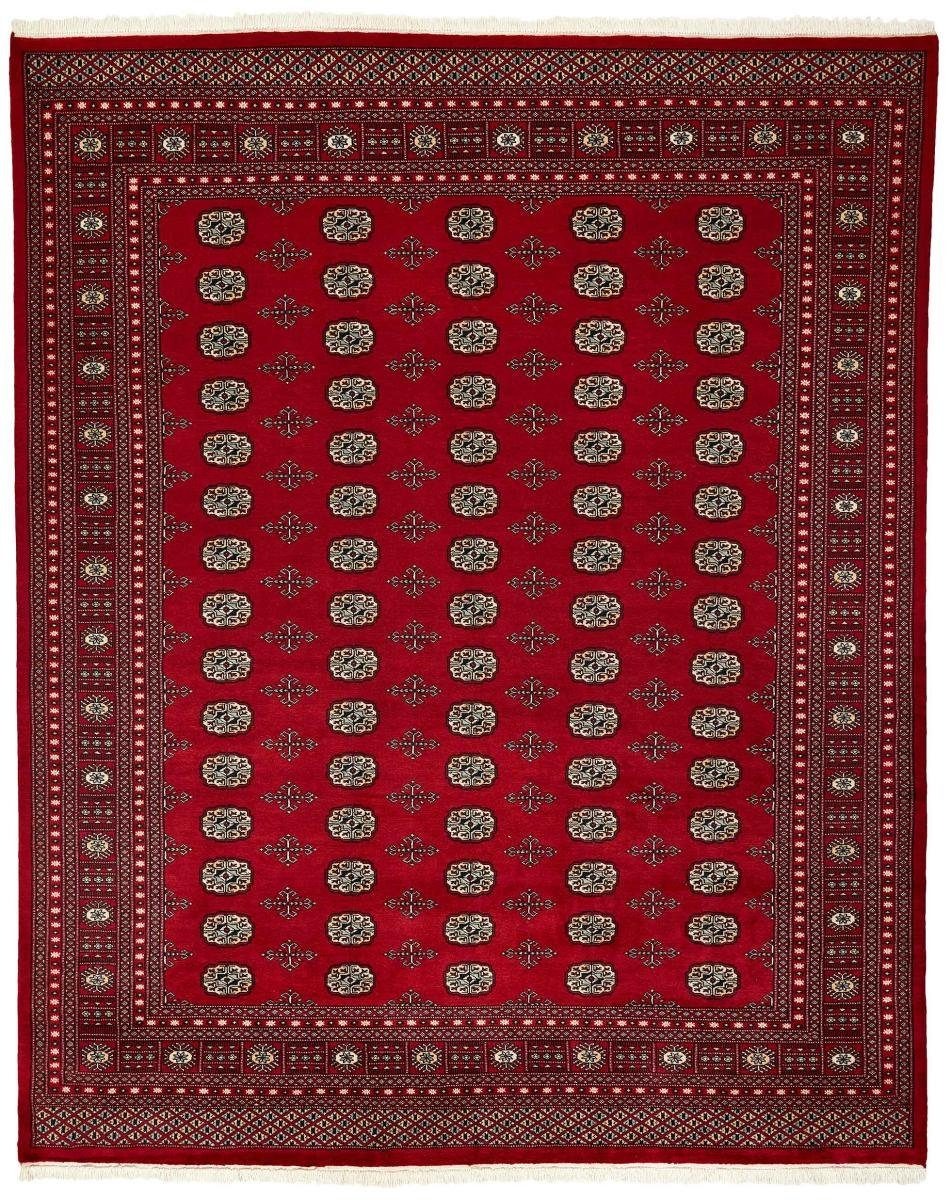 Orientteppich Pakistan Buchara 2ply 250x310 Handgeknüpfter Orientteppich, Nain Trading, rechteckig, Höhe: 8 mm