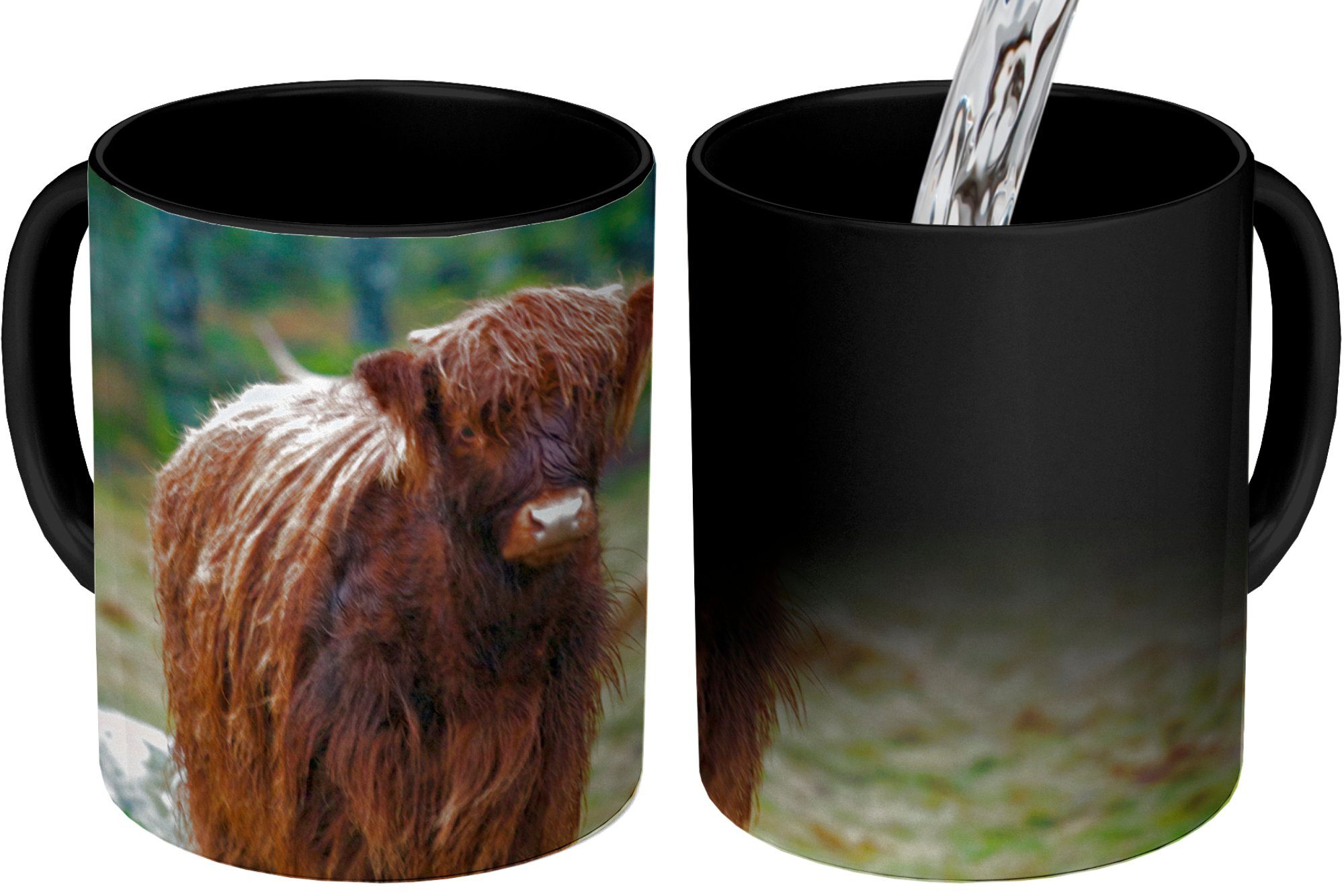 Schottischer - Keramik, Tasse Hochländer Geschenk Moos, Teetasse, Kaffeetassen, - Wald Farbwechsel, MuchoWow Zaubertasse,