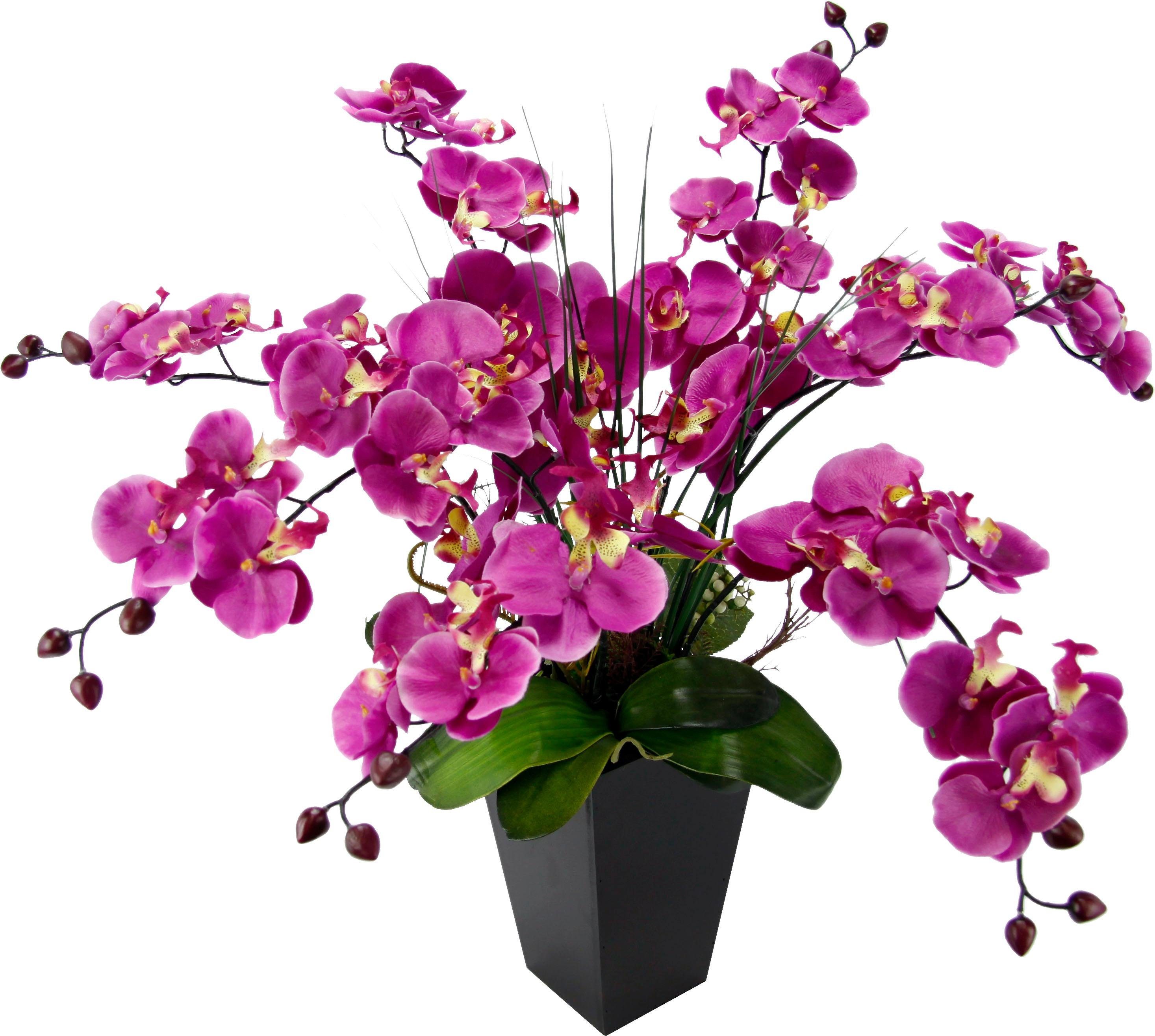 Kunstpflanze Phalaenopsis im Topf, I.GE.A., Höhe 66 cm günstig online kaufen