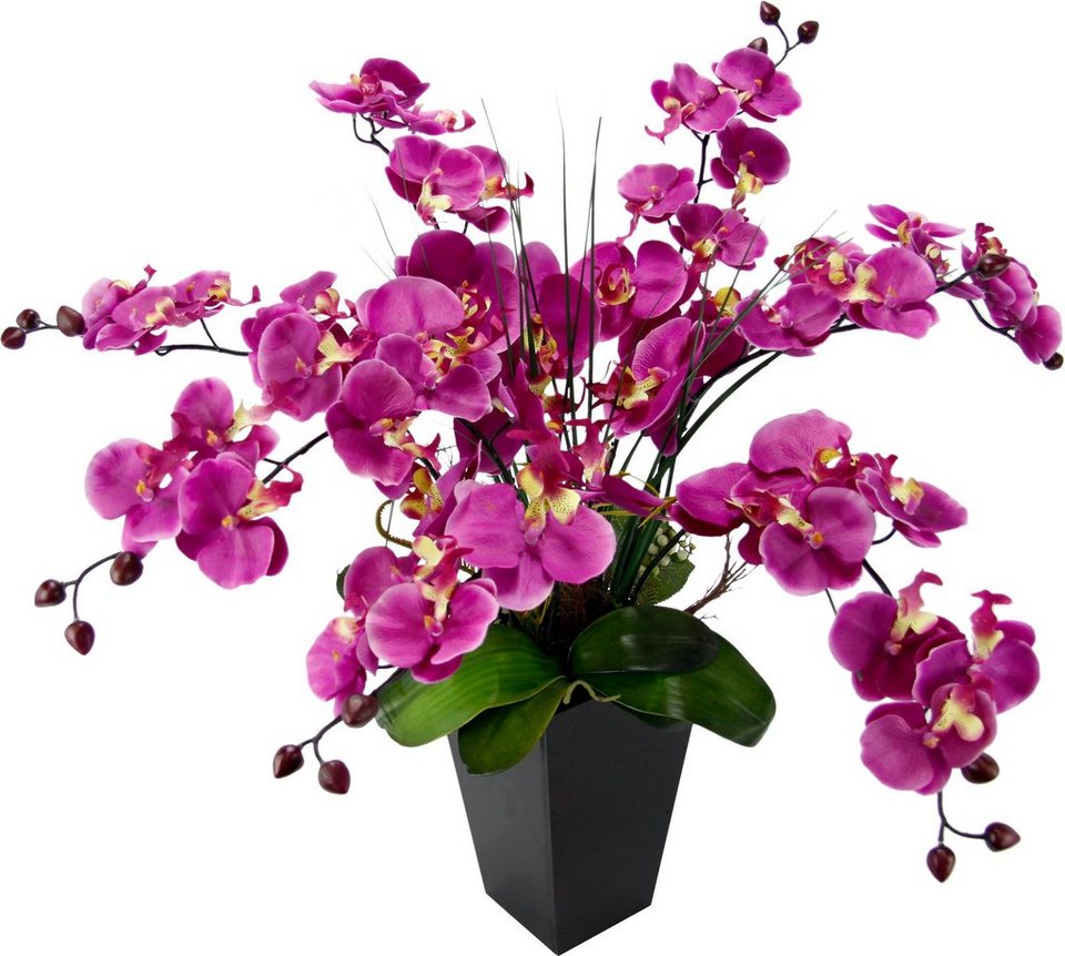 Kunstpflanze Phalaenopsis im Topf, I.GE.A., Höhe 66 cm