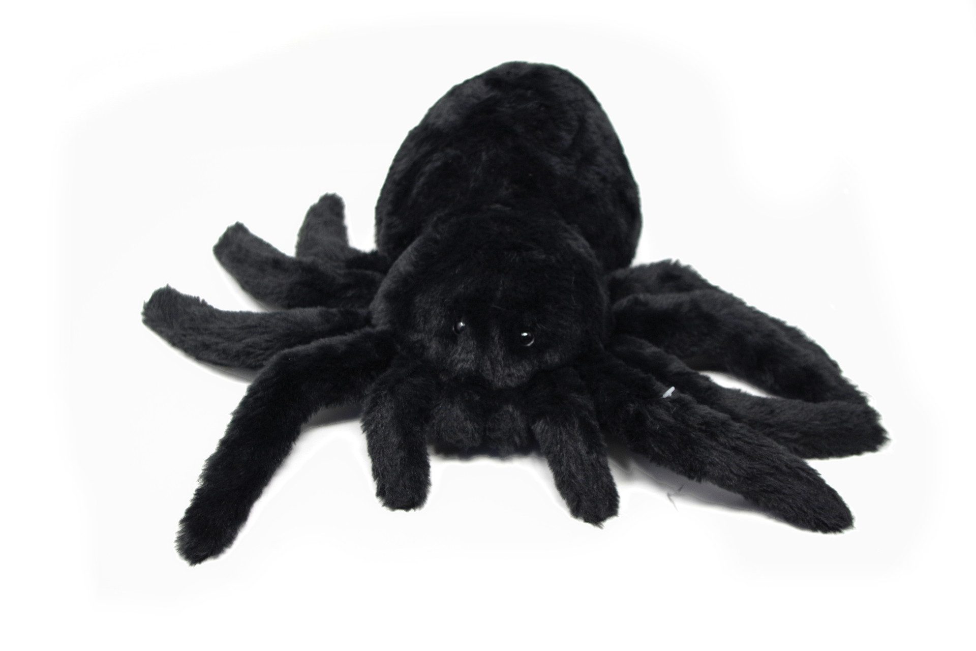 Cornelißen Kuscheltier Cornelissen - Kuscheltier - Vogelspinne