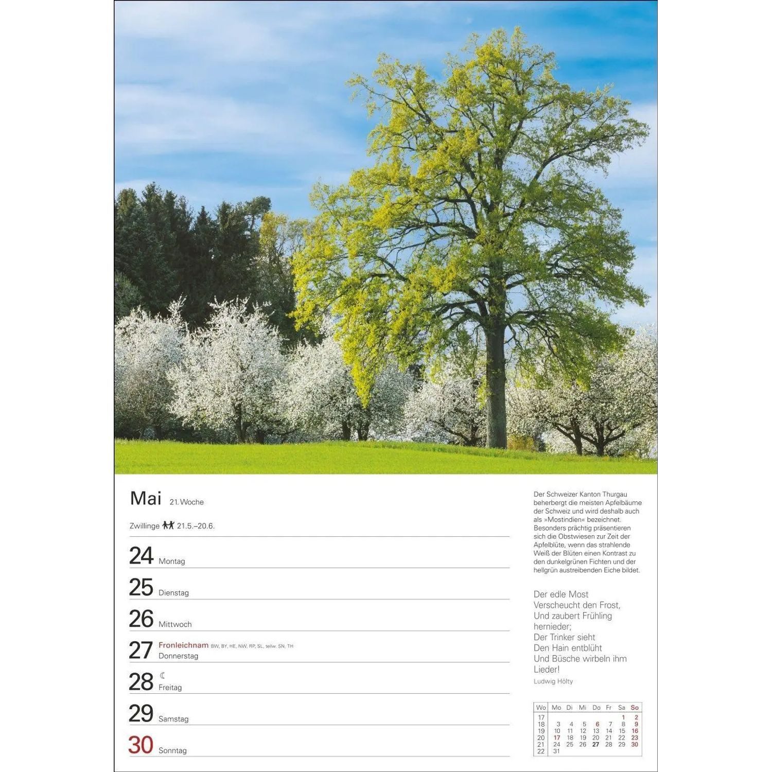 Harenberg Kalender Verlag Wandkalender Bäume Wochenplaner 2027 - 53 stimmungsvolle Fotografien