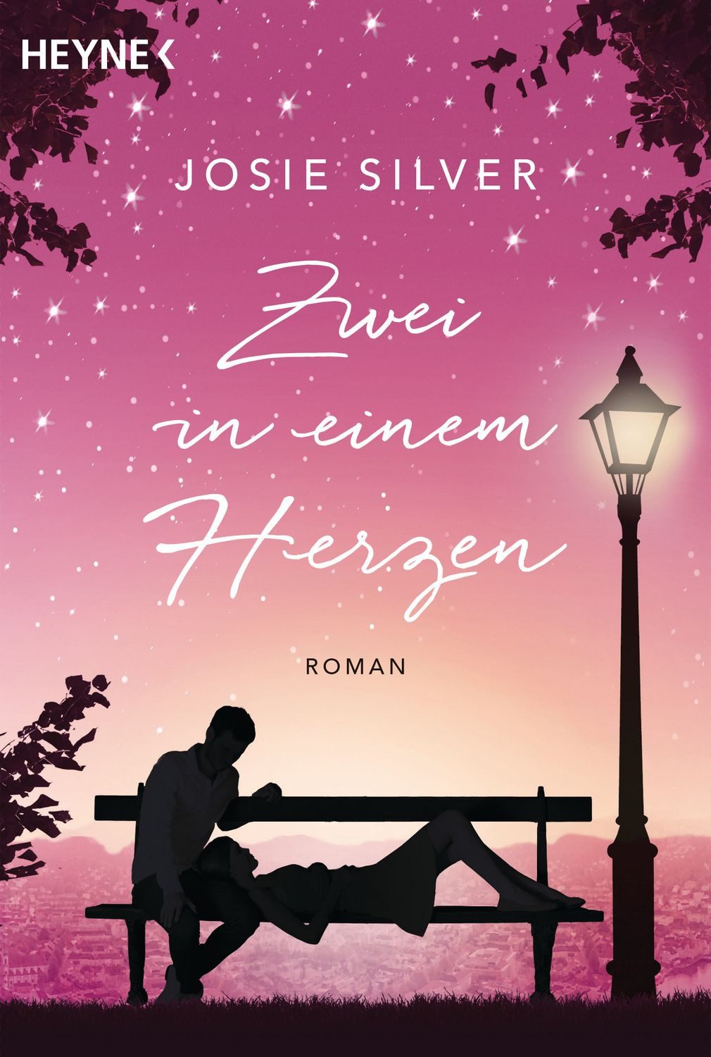 Belletristik Zwei in einem Herzen Roman Josie Silver