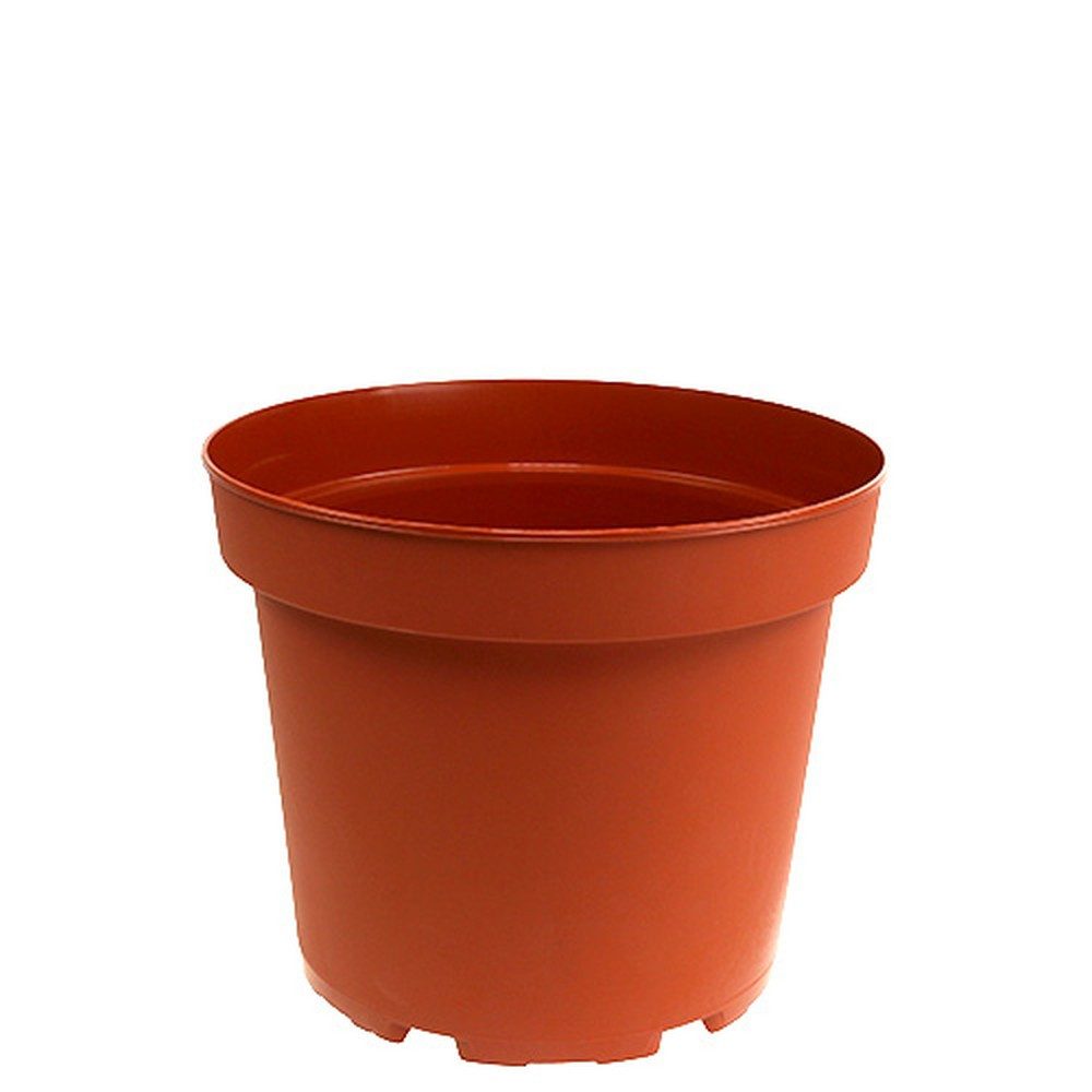 Pöppelmann GmbH & Co. KG Blumentopf Pflanztopf Kunststoff für Blumen und Kräuter, 10 Stück