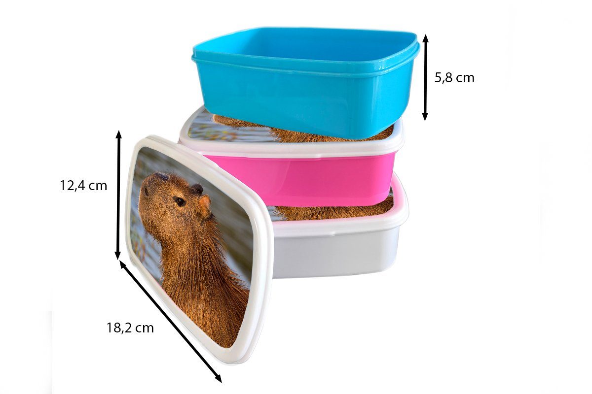 Lunchbox eines für (2-tlg), Eine Erwachsene, Kunststoff Capybaras, Kinder, Kopfes Brotdose rosa MuchoWow Mädchen, des Kunststoff, Snackbox, Nahaufnahme Brotbox