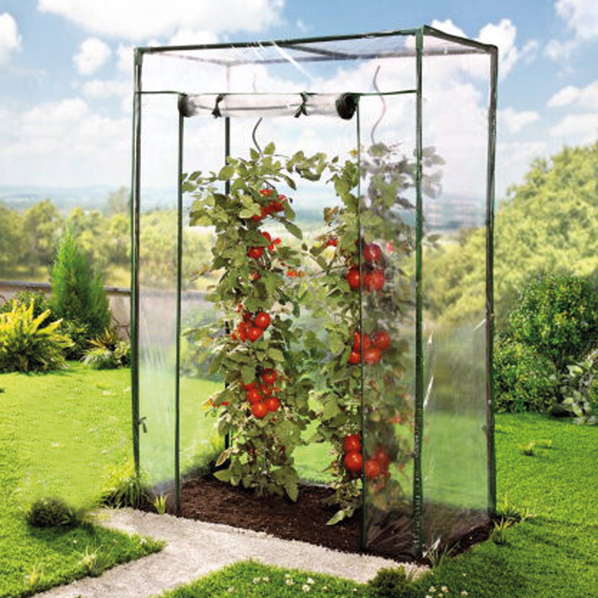 TOPCENT Tomatengewächshaus Tomaten-Gewächshaus mit PE-Abdeckung, 100 x 50 x 150 cm, PE-Folie, leichter Aufbau