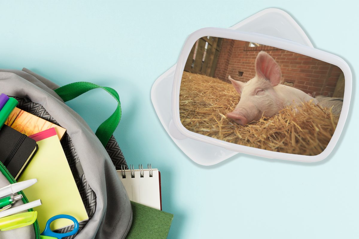 Kunststoff, für Stroh Lunchbox Kinder Jungs (2-tlg), Erwachsene, Schwein MuchoWow Brotbox und und weiß - Brotdose, für - Tier, Mädchen