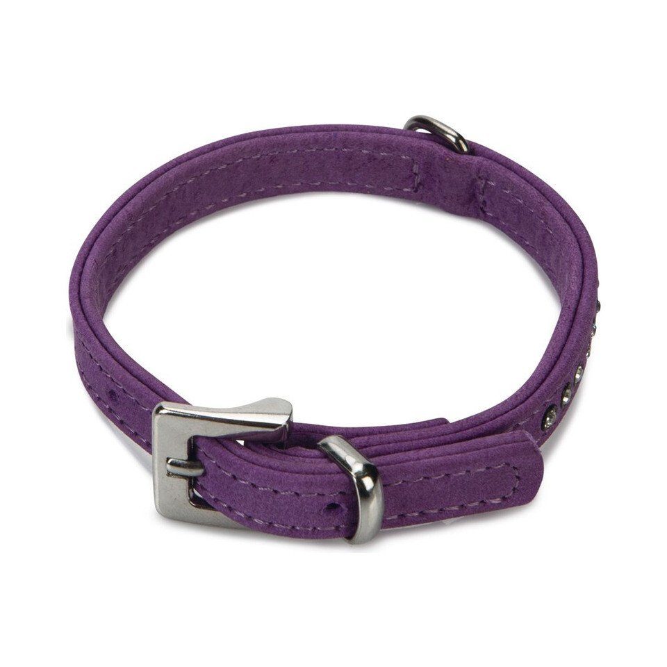 Beeztees Hunde-Halsband Hundehalsband Buffalo Leder lila