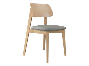MIRJAN24 Stuhl KT65/C (1 Stück), aus Buchenholz, 48x45x80 cm