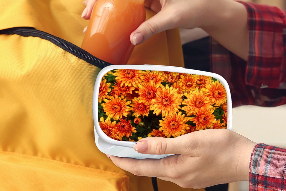 MuchoWow Lunchbox Orange für - Kunststoff, (2-tlg), - Chrysantheme, Kinder Erwachsene, für Brotdose, und Brotbox und Blumen Mädchen Jungs weiß