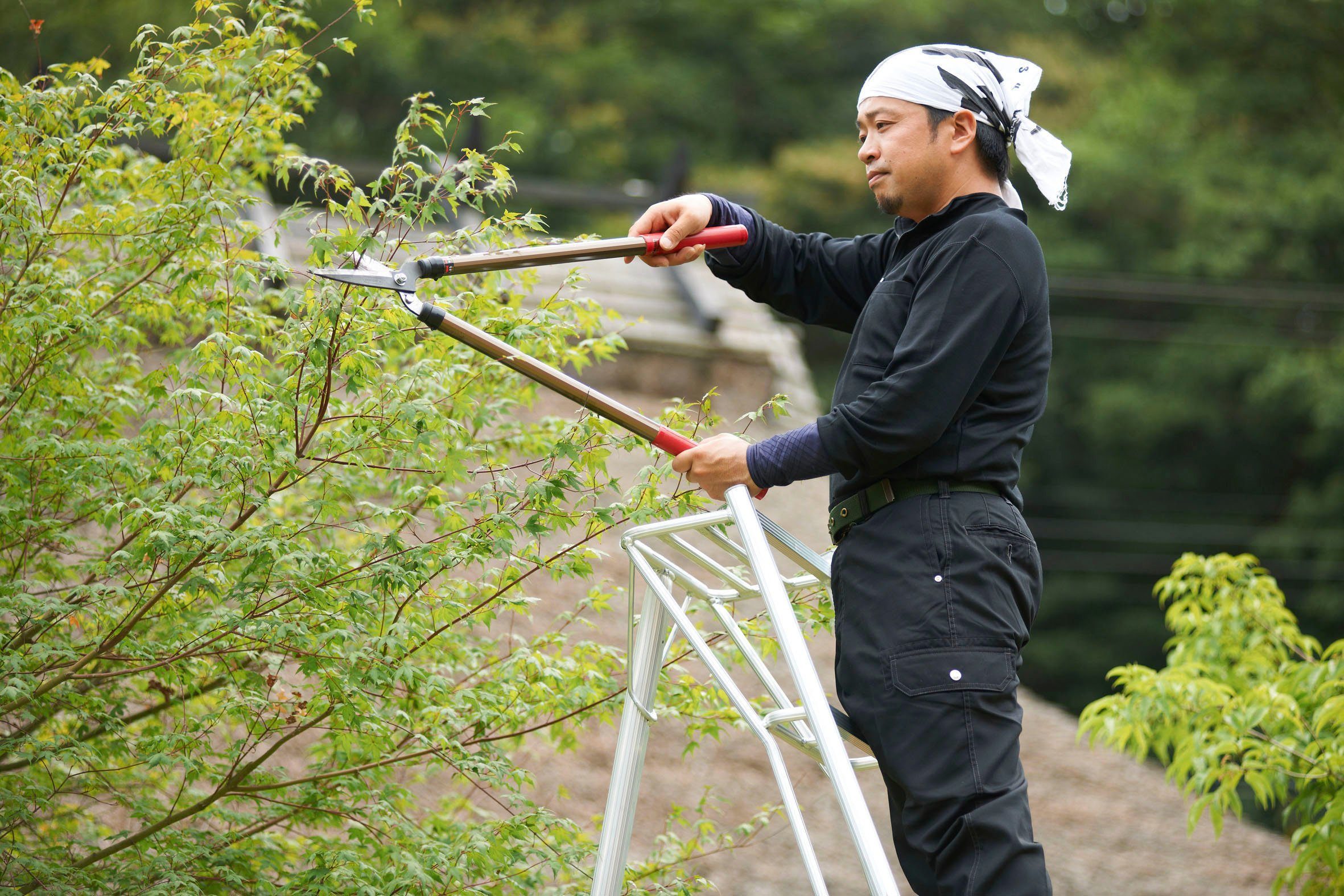 Vielzweckleiter, Niwaki Gelände im Gartenleiter, gleicht Unebenheiten aus