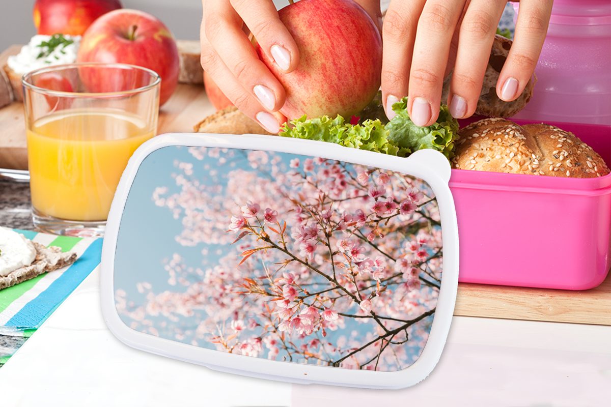 Brotbox Snackbox, - Kinder, Lunchbox Zweige, Frühling Mädchen, Brotdose Kunststoff (2-tlg), Kunststoff, Erwachsene, MuchoWow für rosa - Sakura
