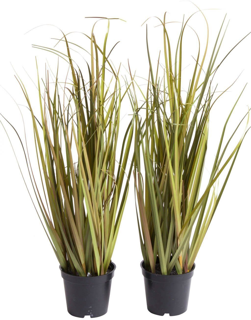 Kunstgras Grasarrangement Gras, Botanic-Haus, Höhe 48 günstig online kaufen
