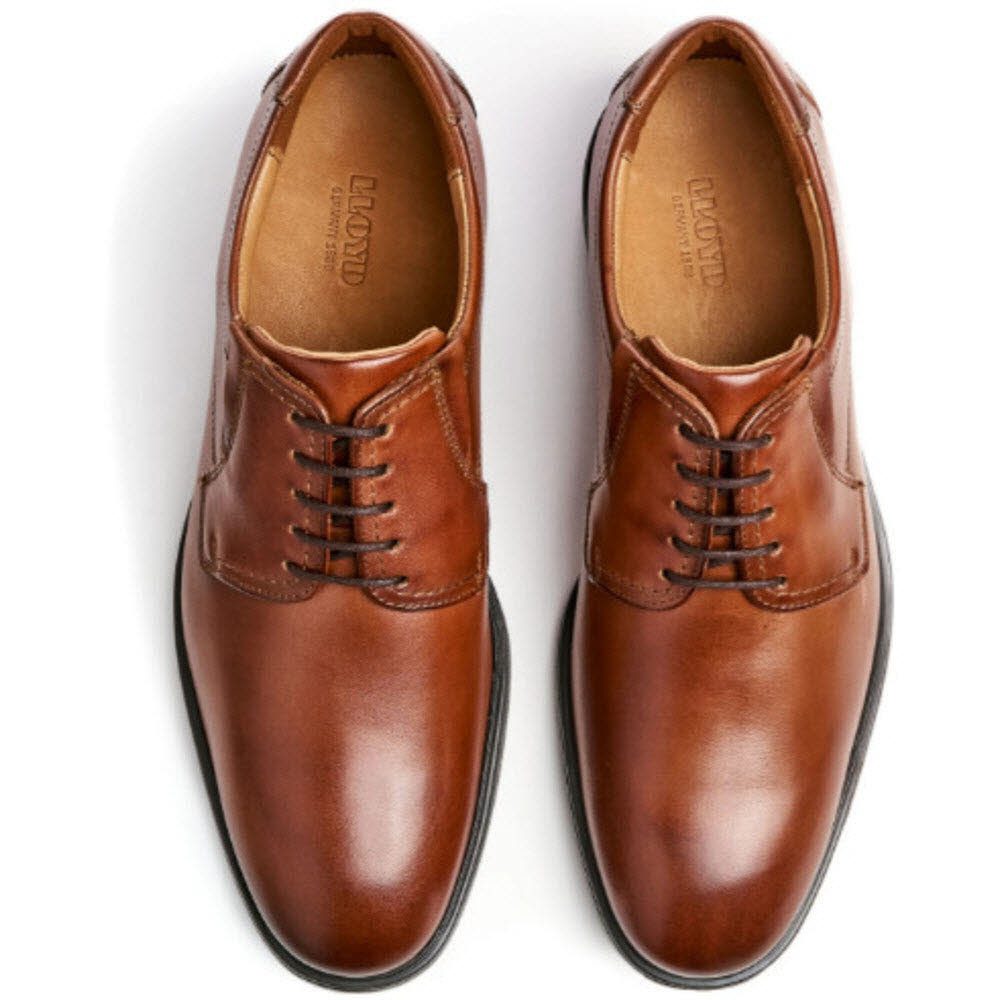 Lloyd KENTUCKY Schnürschuh günstig online kaufen
