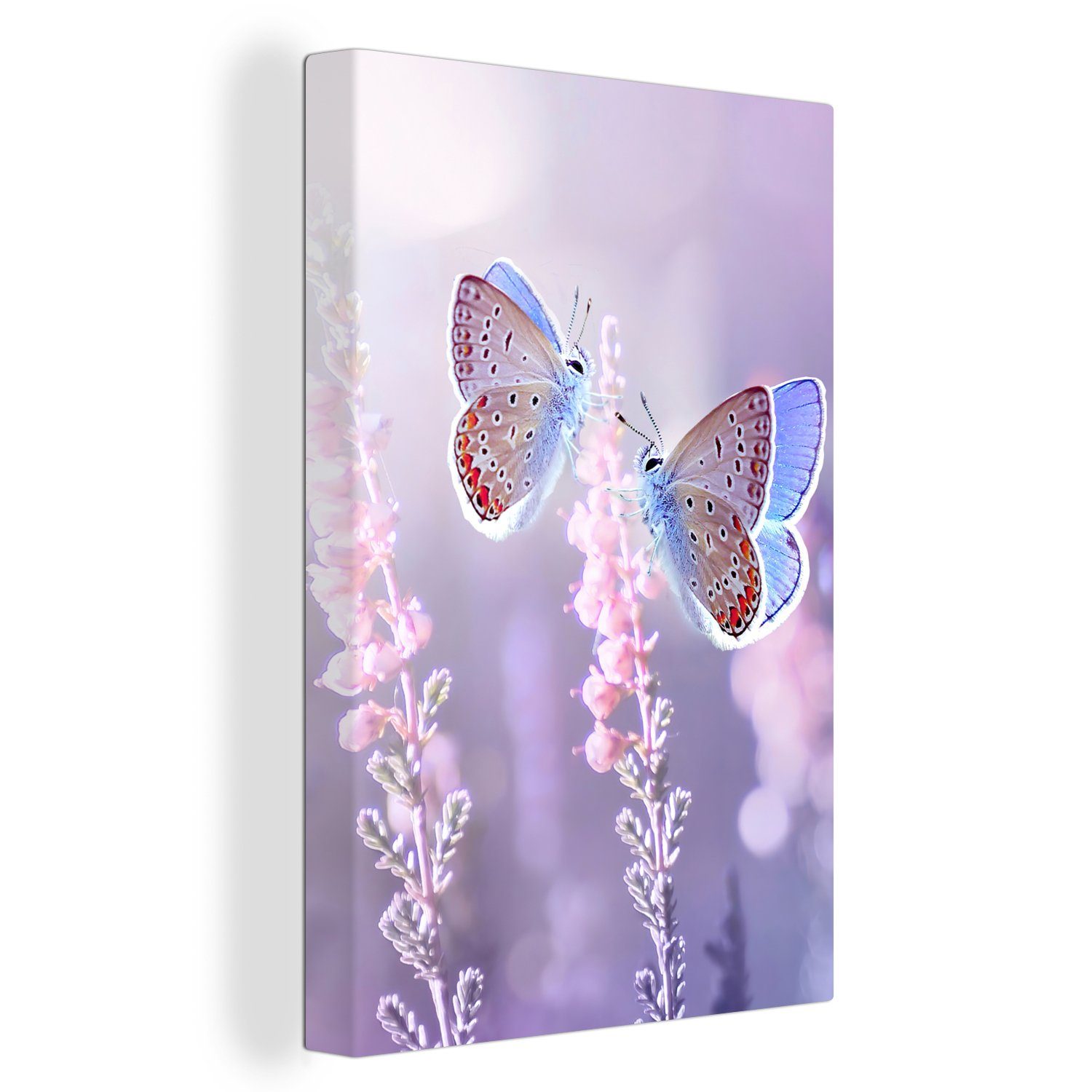 OneMillionCanvasses® Leinwandbild Schmetterling - Lavendel - günstig online kaufen