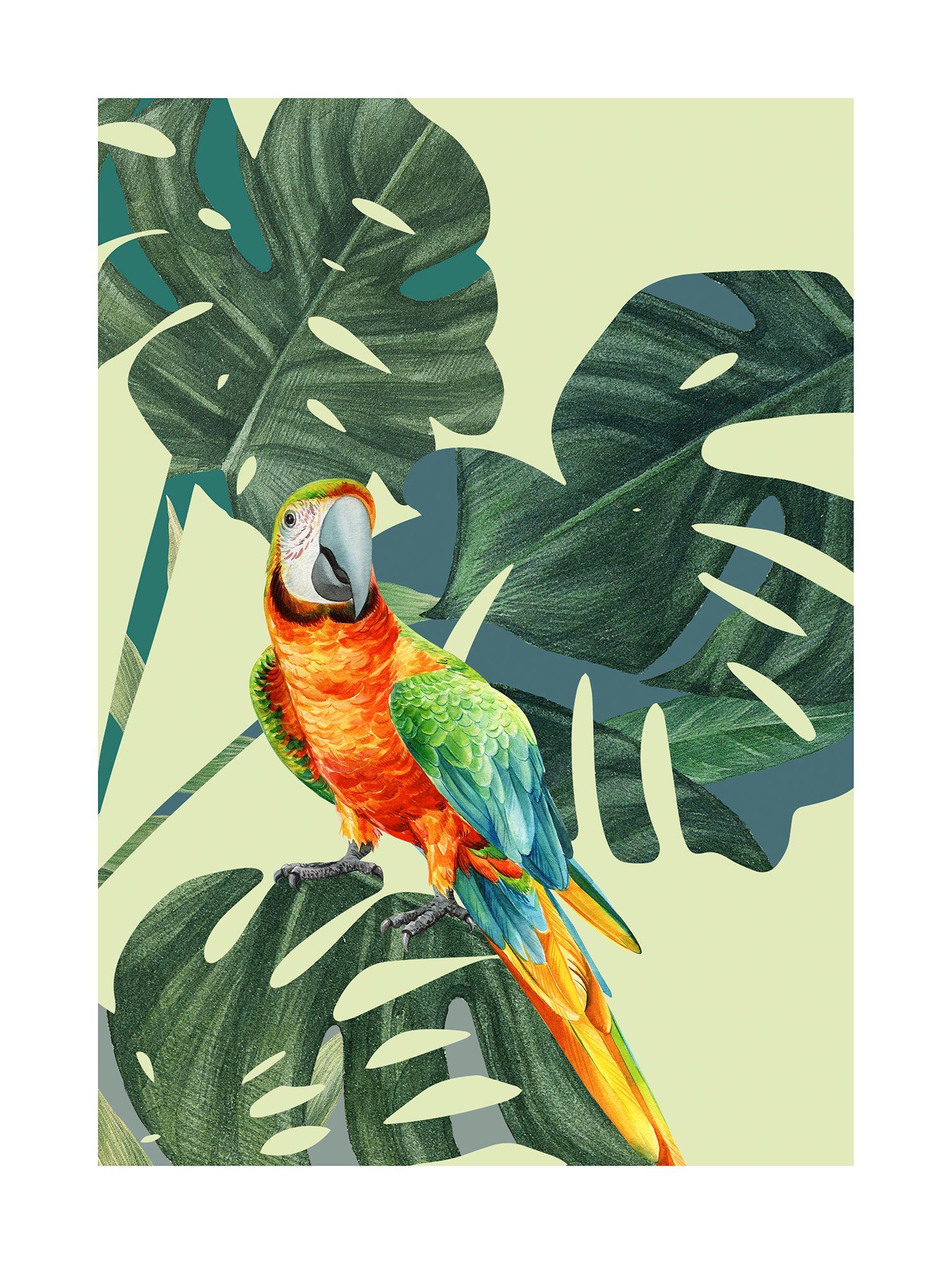 Komar Poster Green-Winged Macaw, (1 St), Kinderzimmer, Schlafzimmer,  Wohnzimmer | Poster
