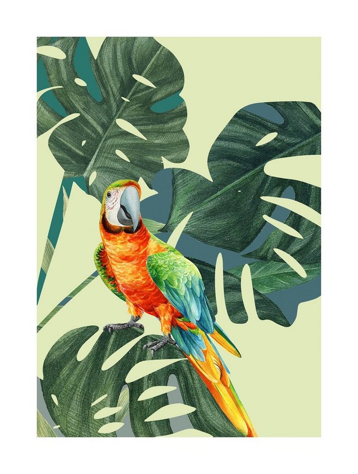 Komar Poster Green-Winged Macaw, (1 St), Kinderzimmer, Schlafzimmer,  Wohnzimmer