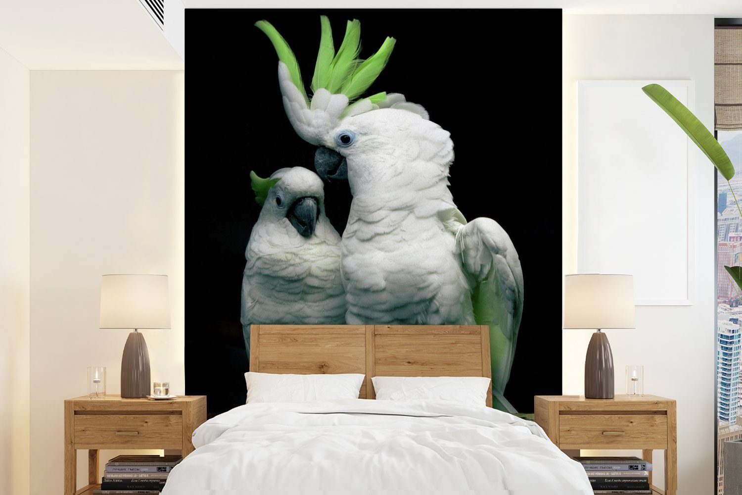 Grüne Wandtapete Kakadus Fototapete (4 St), Matt, Hintergrund, MuchoWow bedruckt, schwarzem auf für Tapete Wohnzimmer, Vinyl Montagefertig