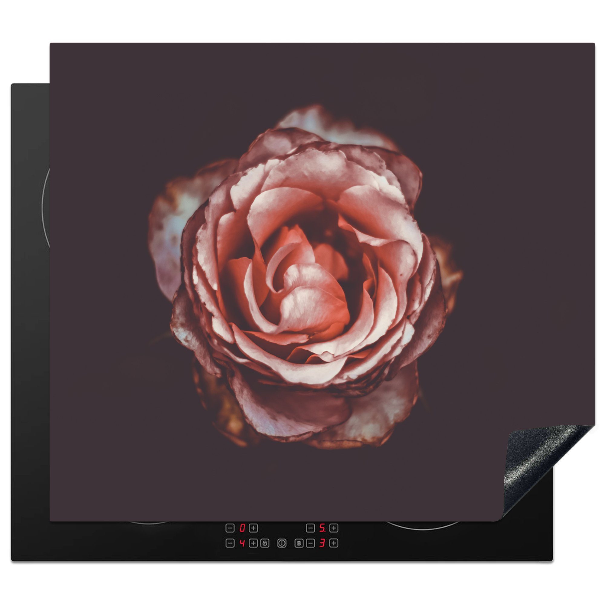 MuchoWow Herdblende-/Abdeckplatte Rose - Blumen - Porträt, Vinyl, (1 tlg), 60x52 cm, Mobile Arbeitsfläche nutzbar, Ceranfeldabdeckung