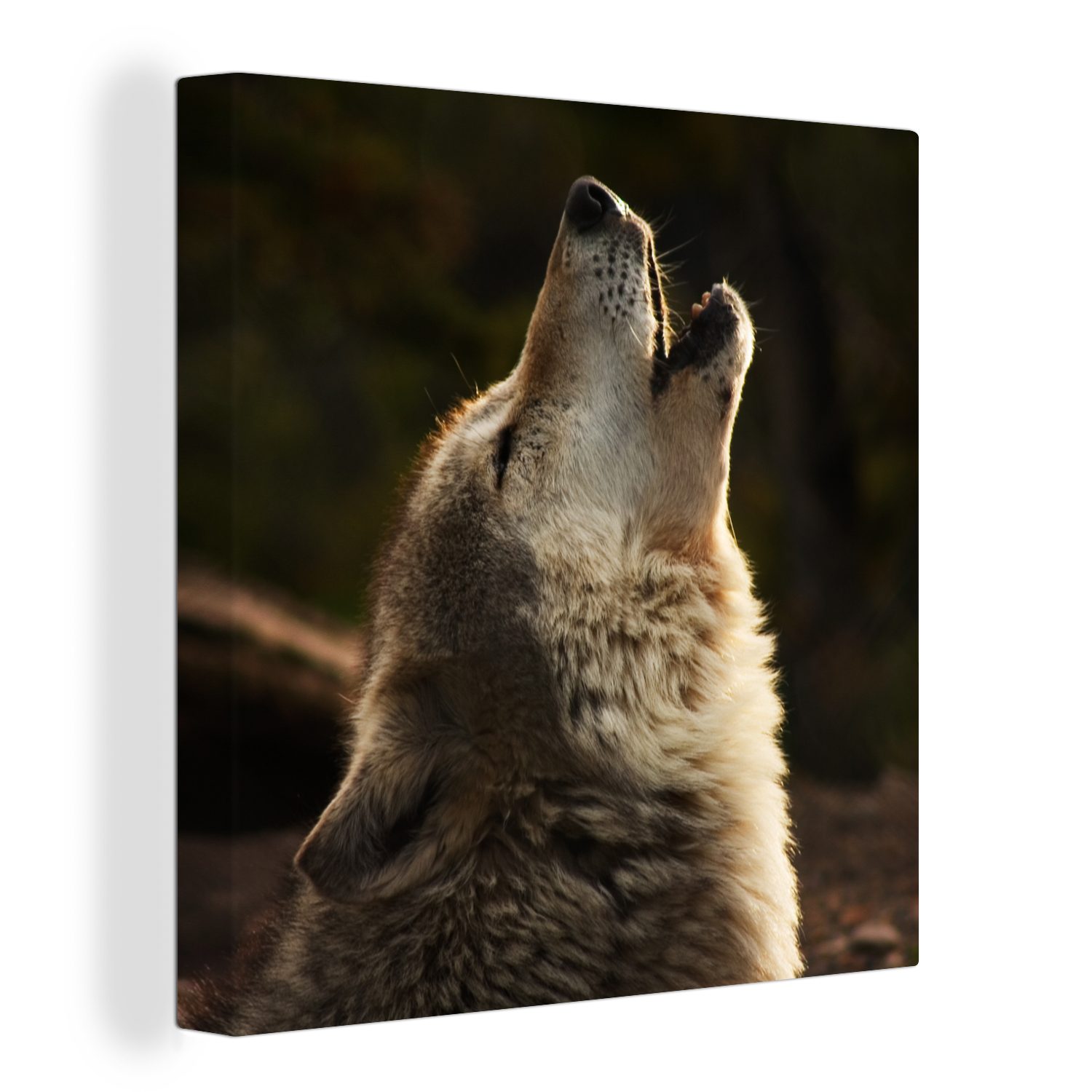 OneMillionCanvasses® Leinwandbild Wolf - Grau - Tiere, (1 St), Leinwand Bilder für Wohnzimmer Schlafzimmer