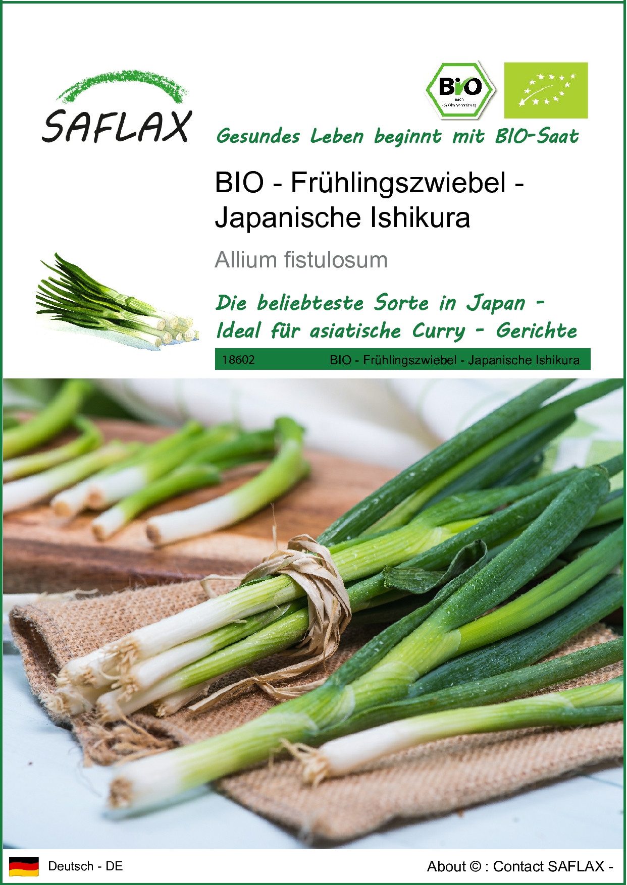 Gemüsesamen SAFLAX - Samen - BIO - Frühlingszwiebel - Japanische Ishikura