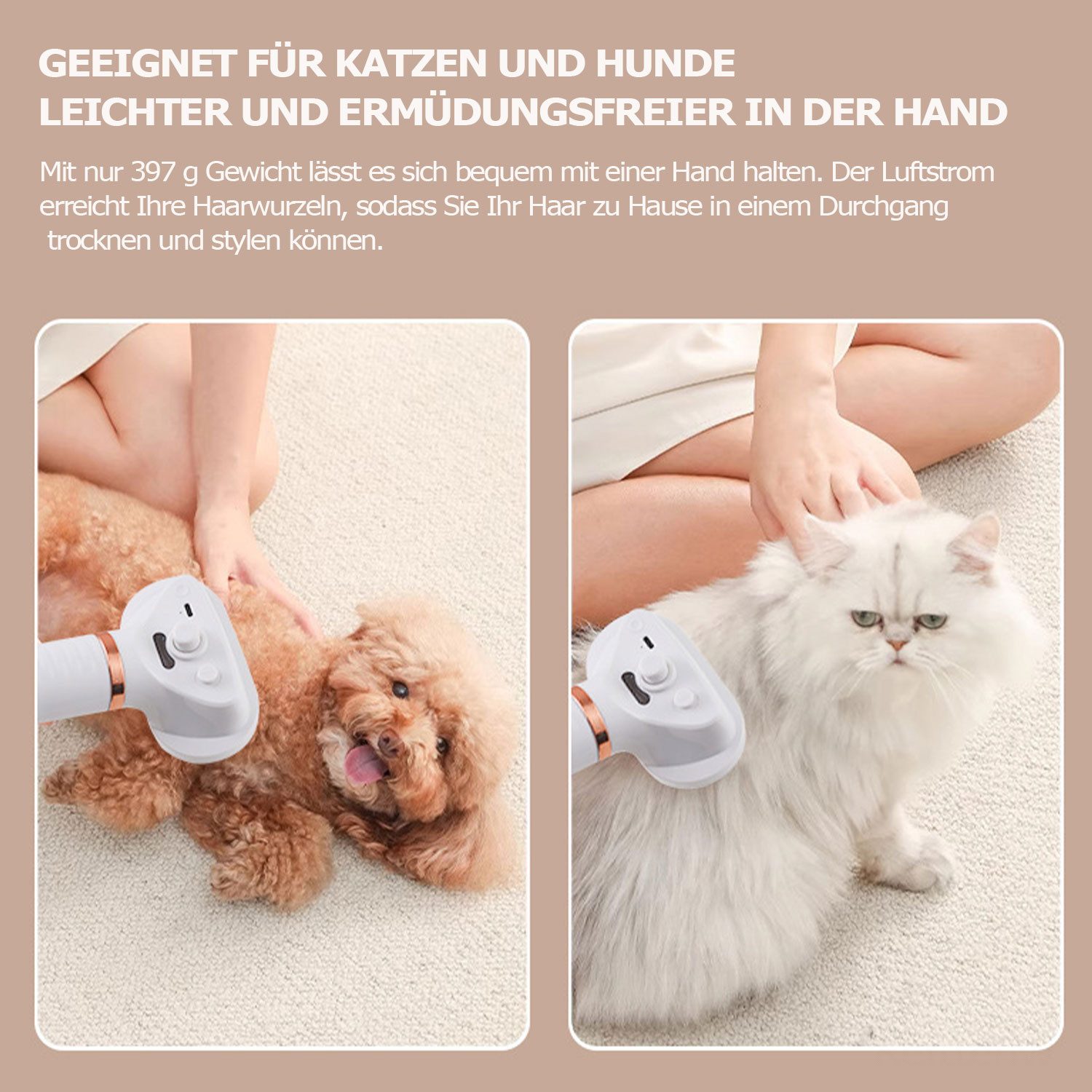Refttenw Fellbürste 2-in-1 Katzenkamm/ Hundefön – Entfilzen, Föhnen, Frisieren, Massieren, mit ablösbarer Bürste & 2 Aufsätzen, Wassser-Ionen, <50dB, 300W