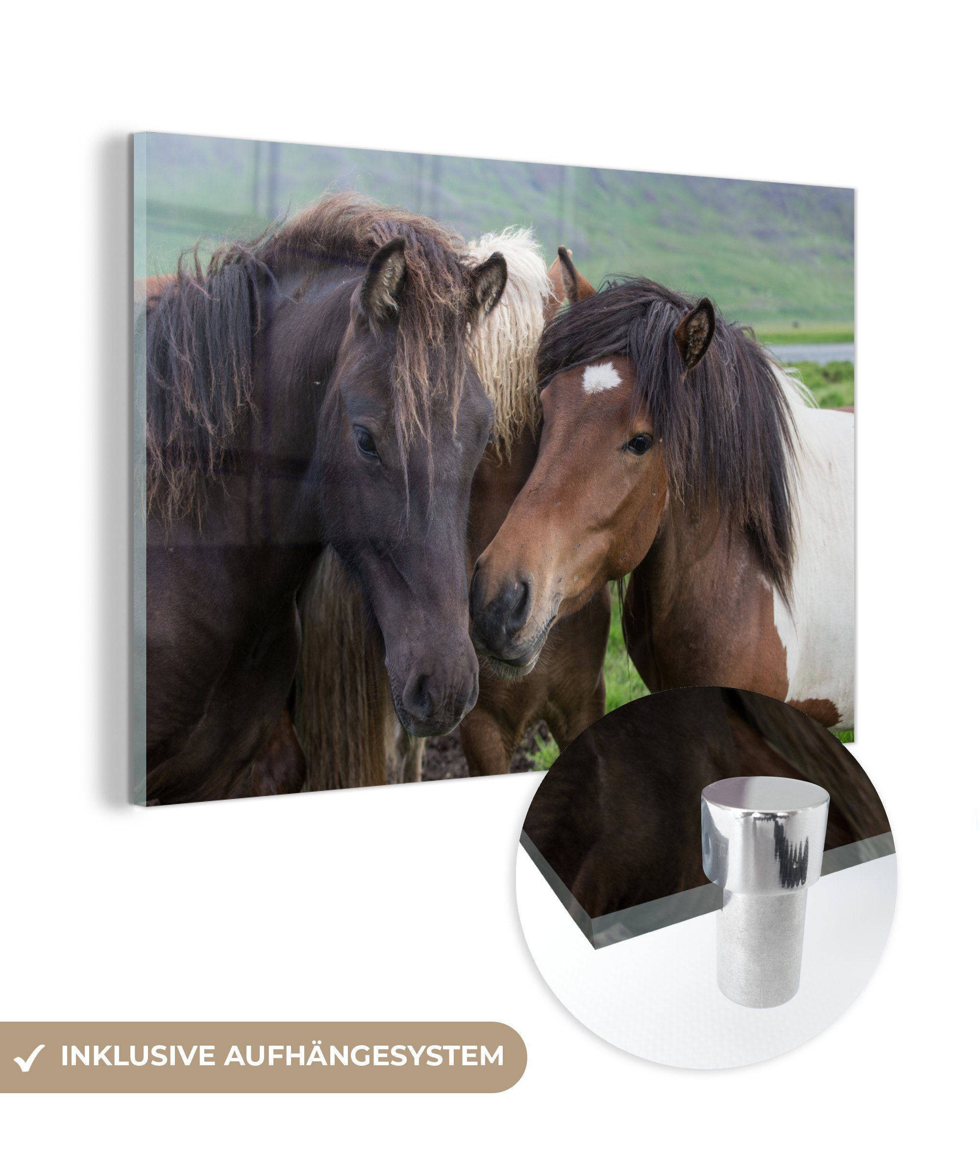 MuchoWow Acrylglasbild Pferde - Tiere - Braun, (1 St), Acrylglasbilder Wohnzimmer & Schlafzimmer