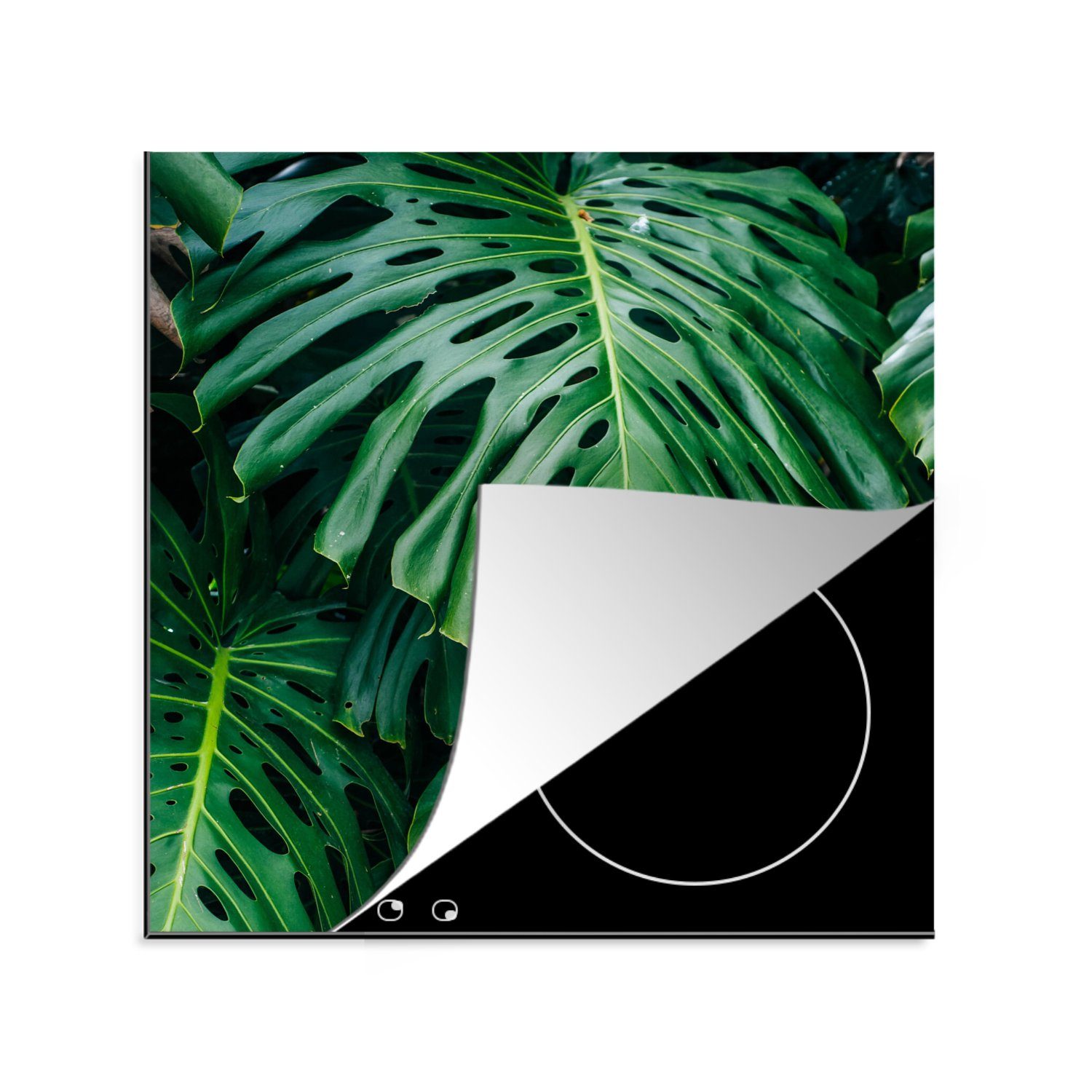 MuchoWow Herdblende-/Abdeckplatte Dunkelgrüne botanische Blätter in einem Garten, Vinyl, (1 tlg), 78x78 cm, Ceranfeldabdeckung, Arbeitsplatte für küche